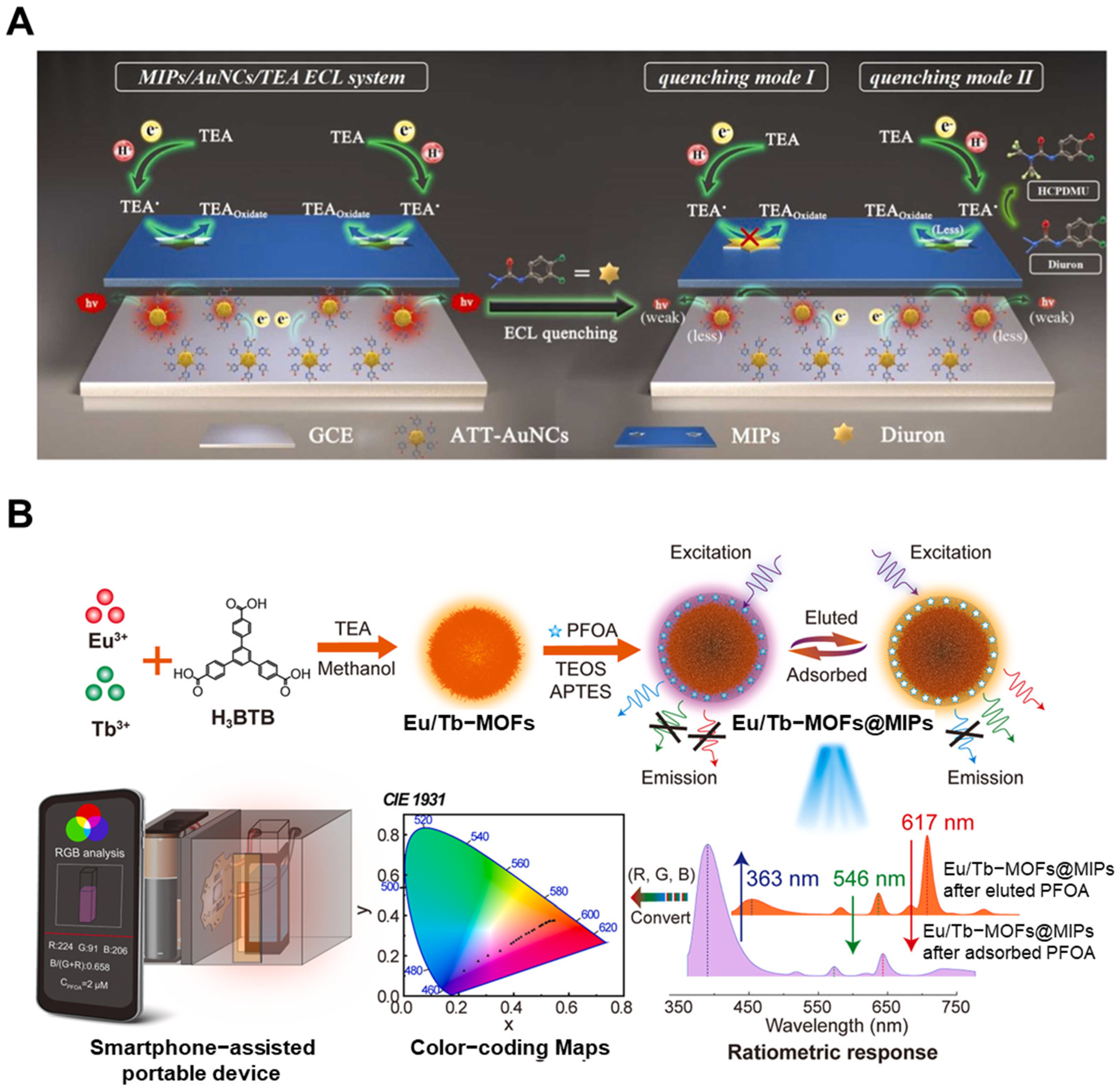 Biosensors 15 00393 g005