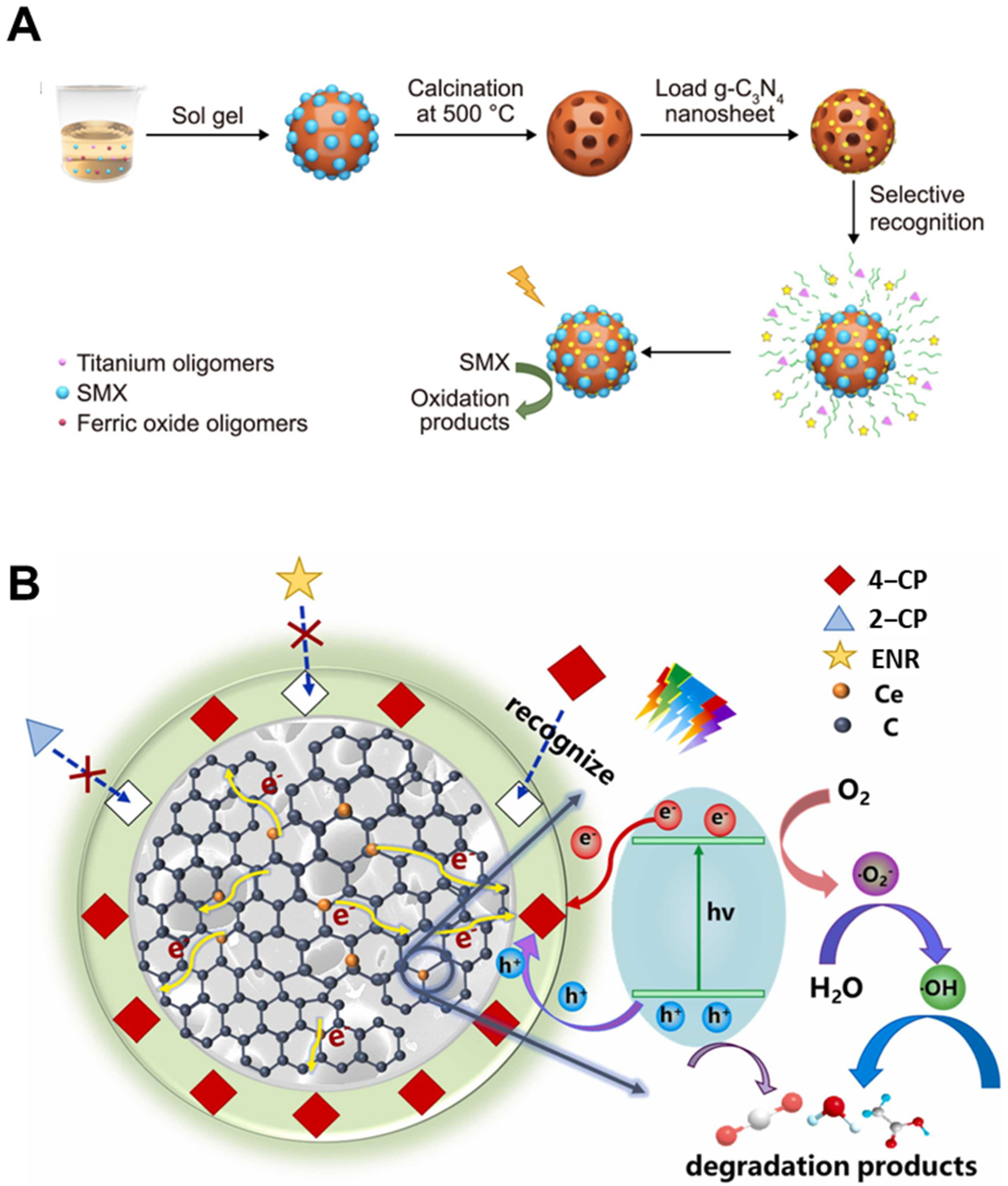 Biosensors 15 00393 g007