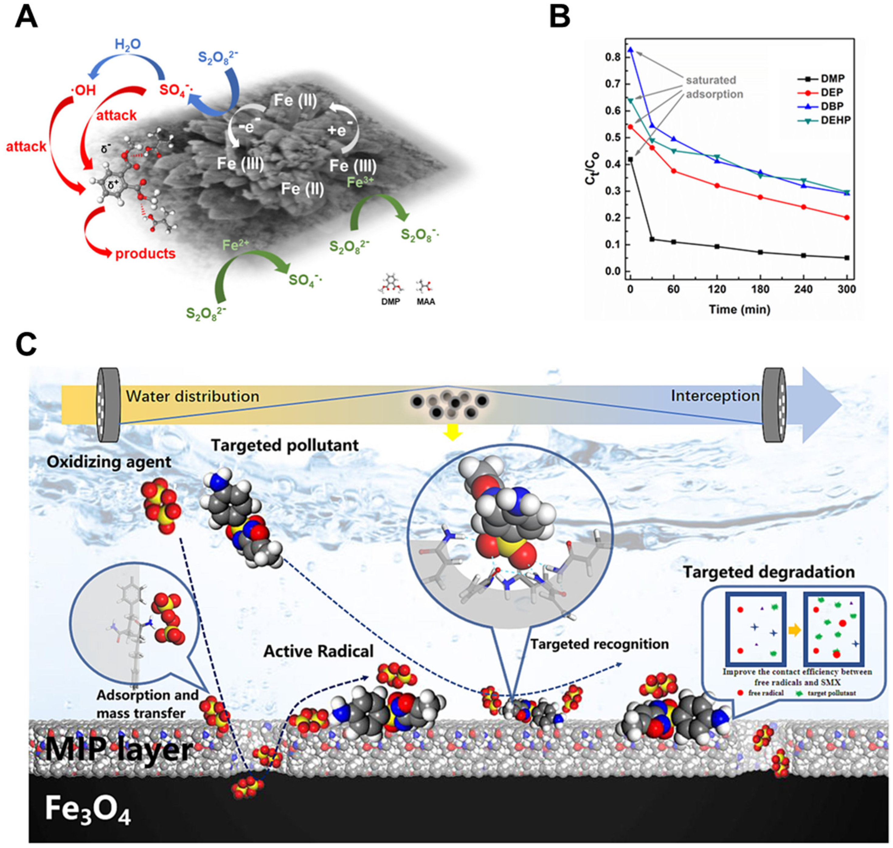 Biosensors 15 00393 g008