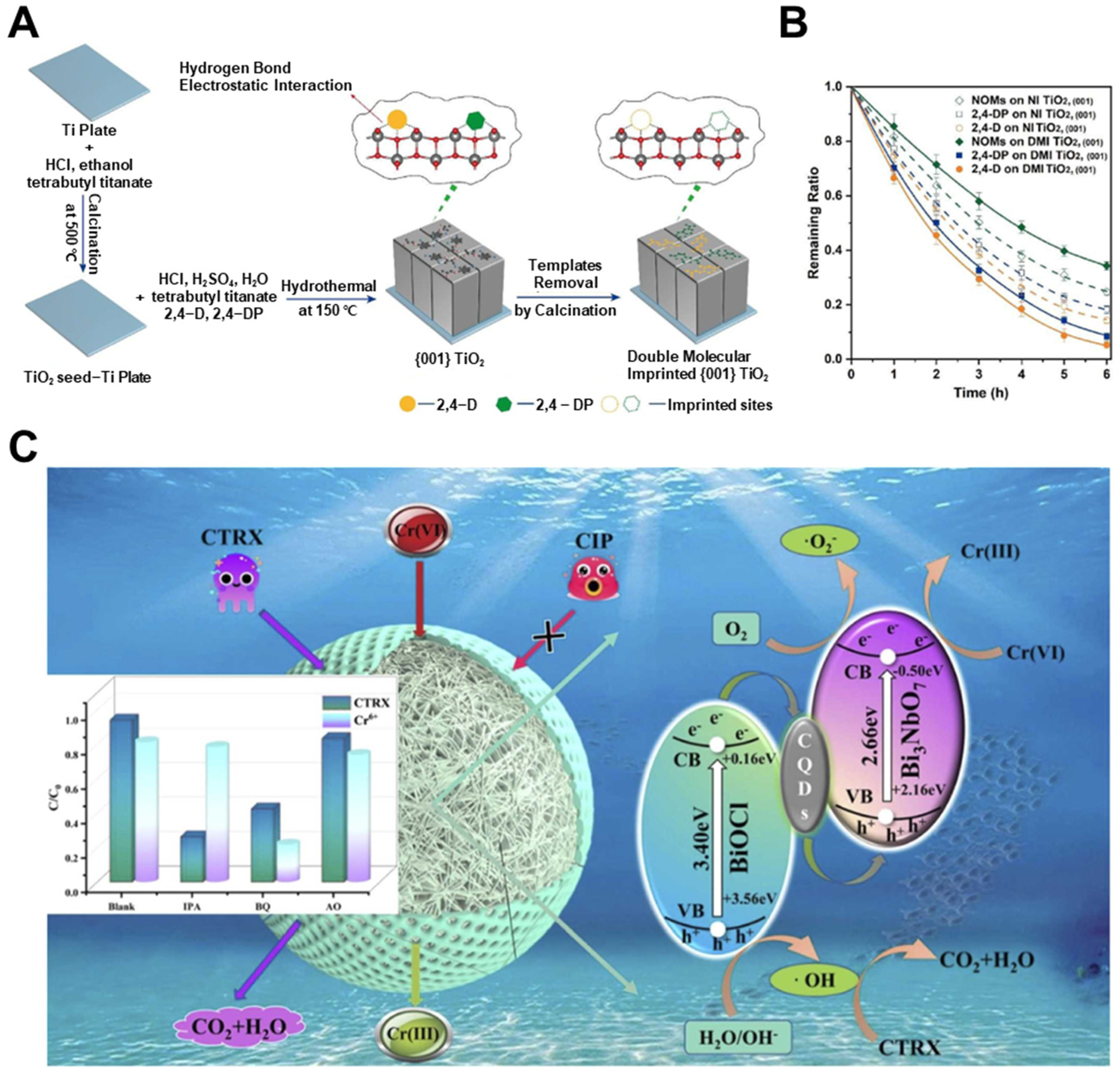 Biosensors 15 00393 g009