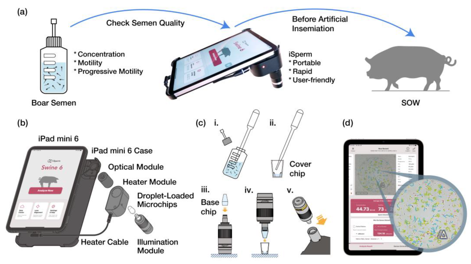 Biosensors 15 00394 g001