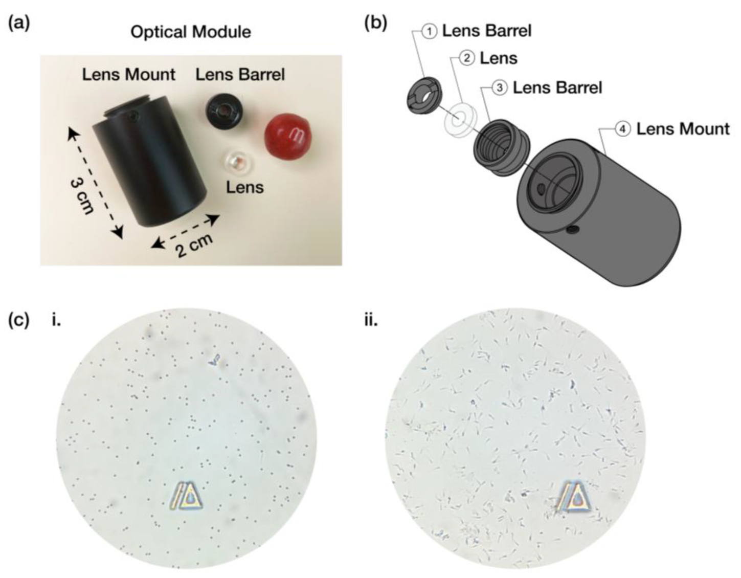 Biosensors 15 00394 g002
