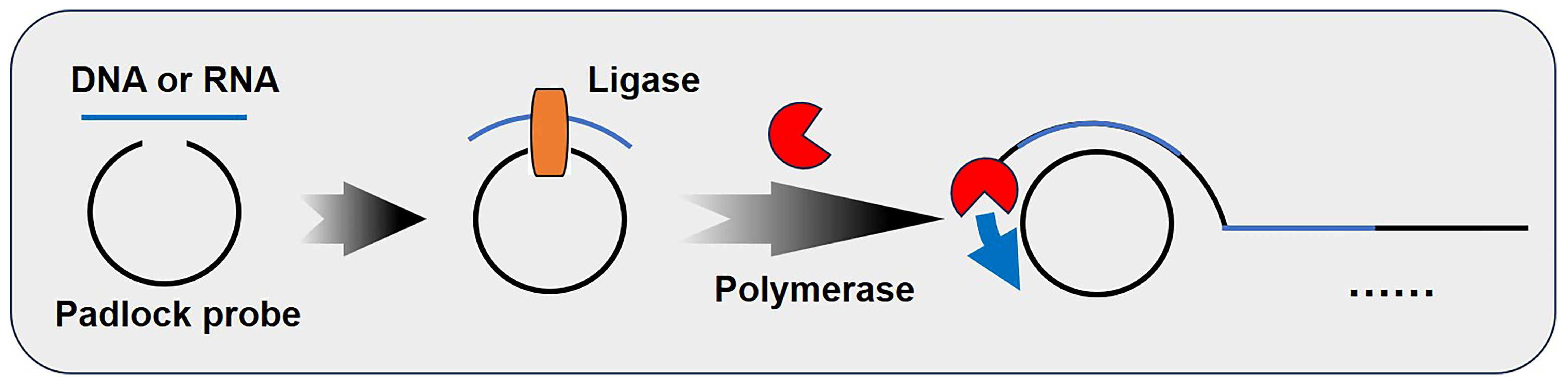Biosensors 15 00395 g001