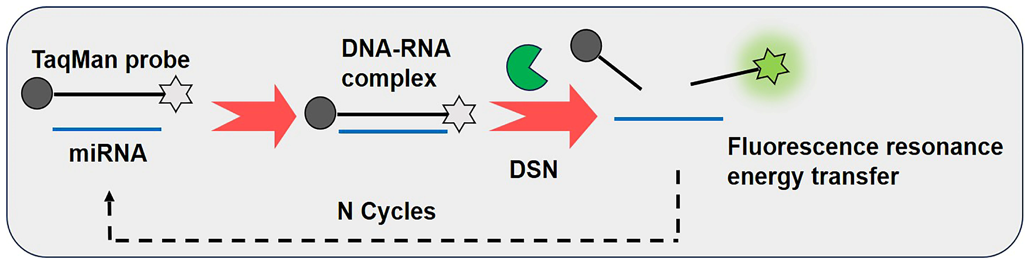 Biosensors 15 00395 g002