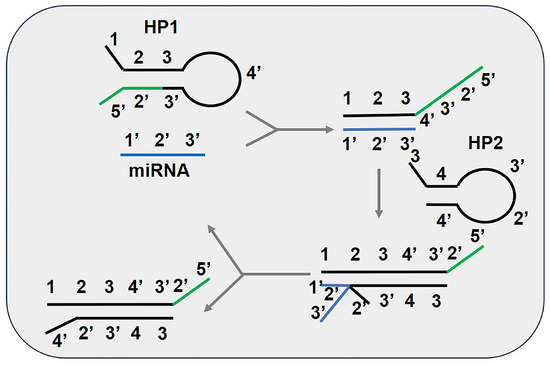 Naa processes-12-02432-ag-550.jpg?