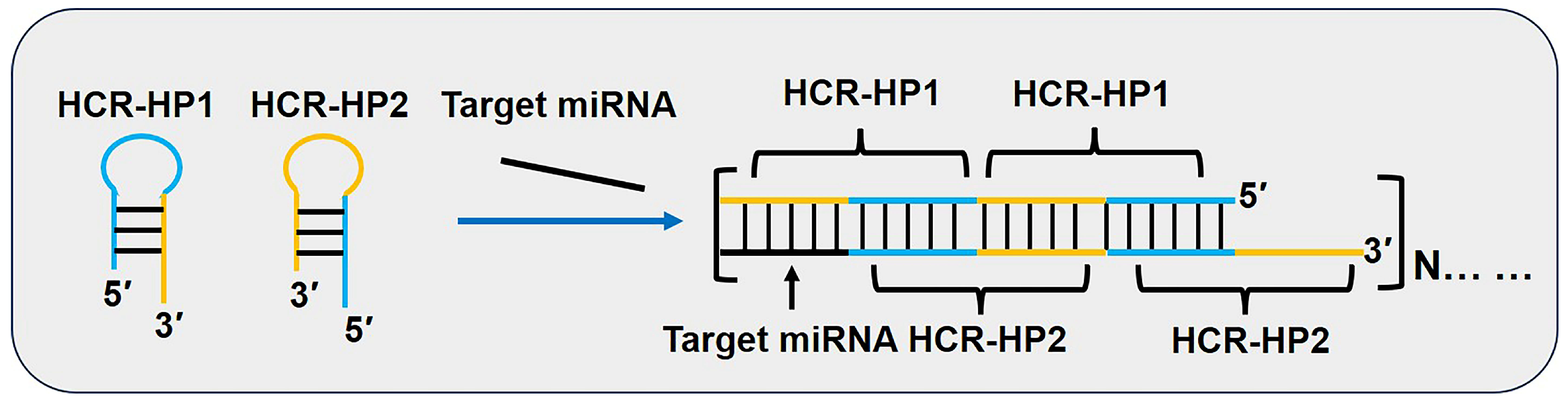 Biosensors 15 00395 g005