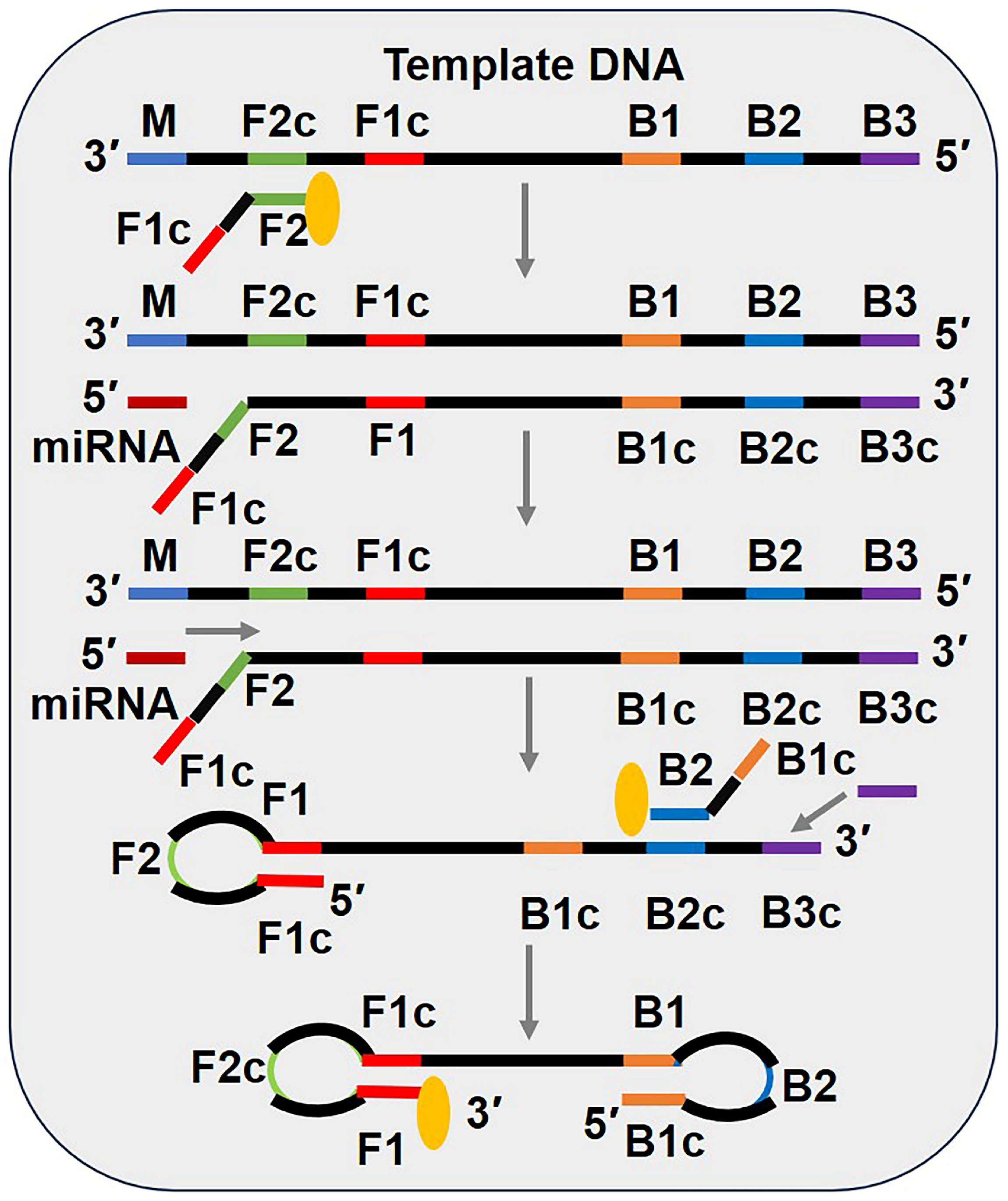 Biosensors 15 00395 g006