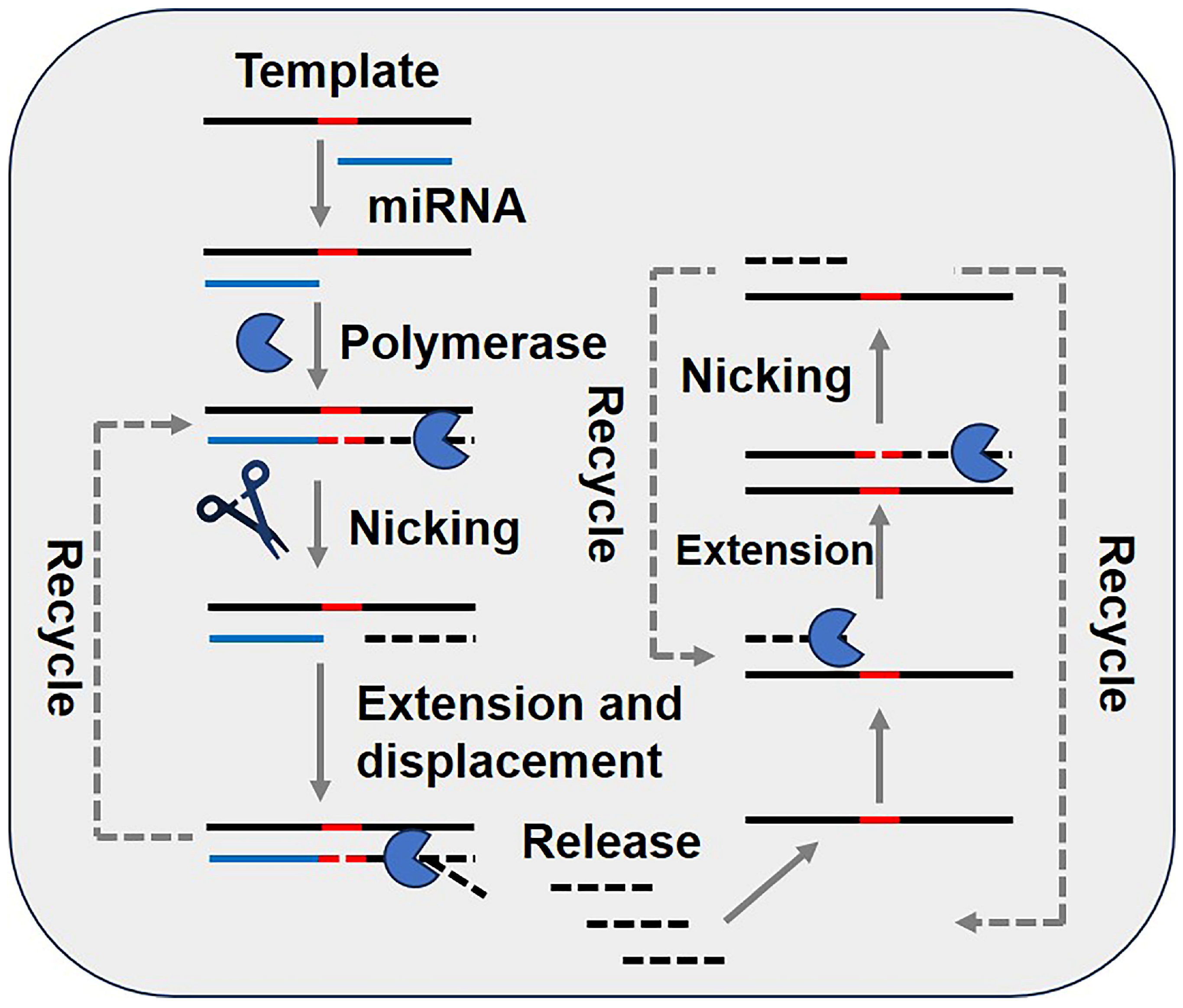 Biosensors 15 00395 g007