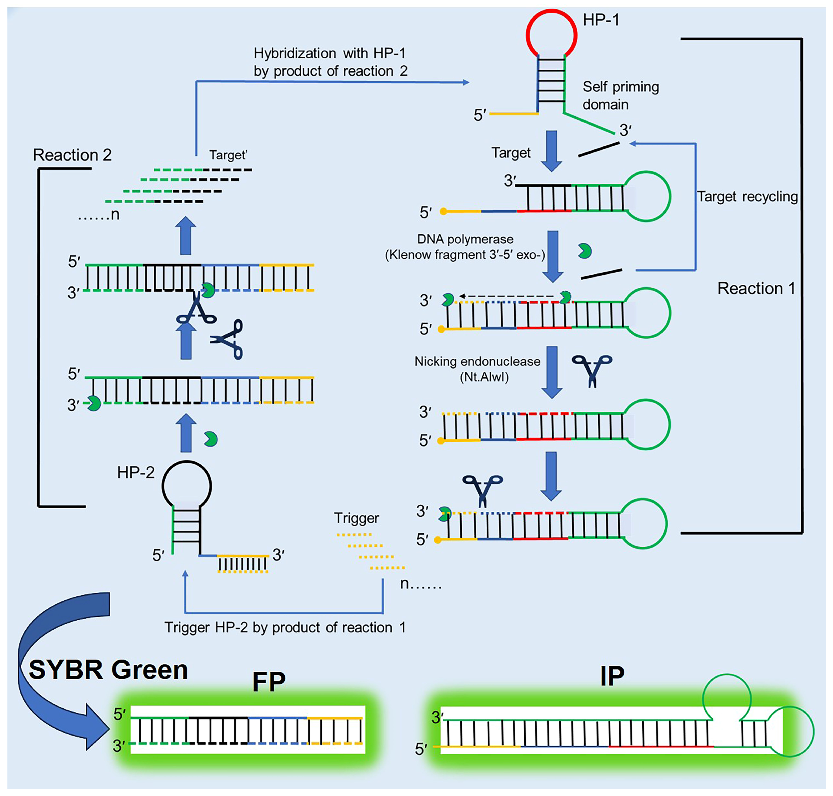Biosensors 15 00395 g008