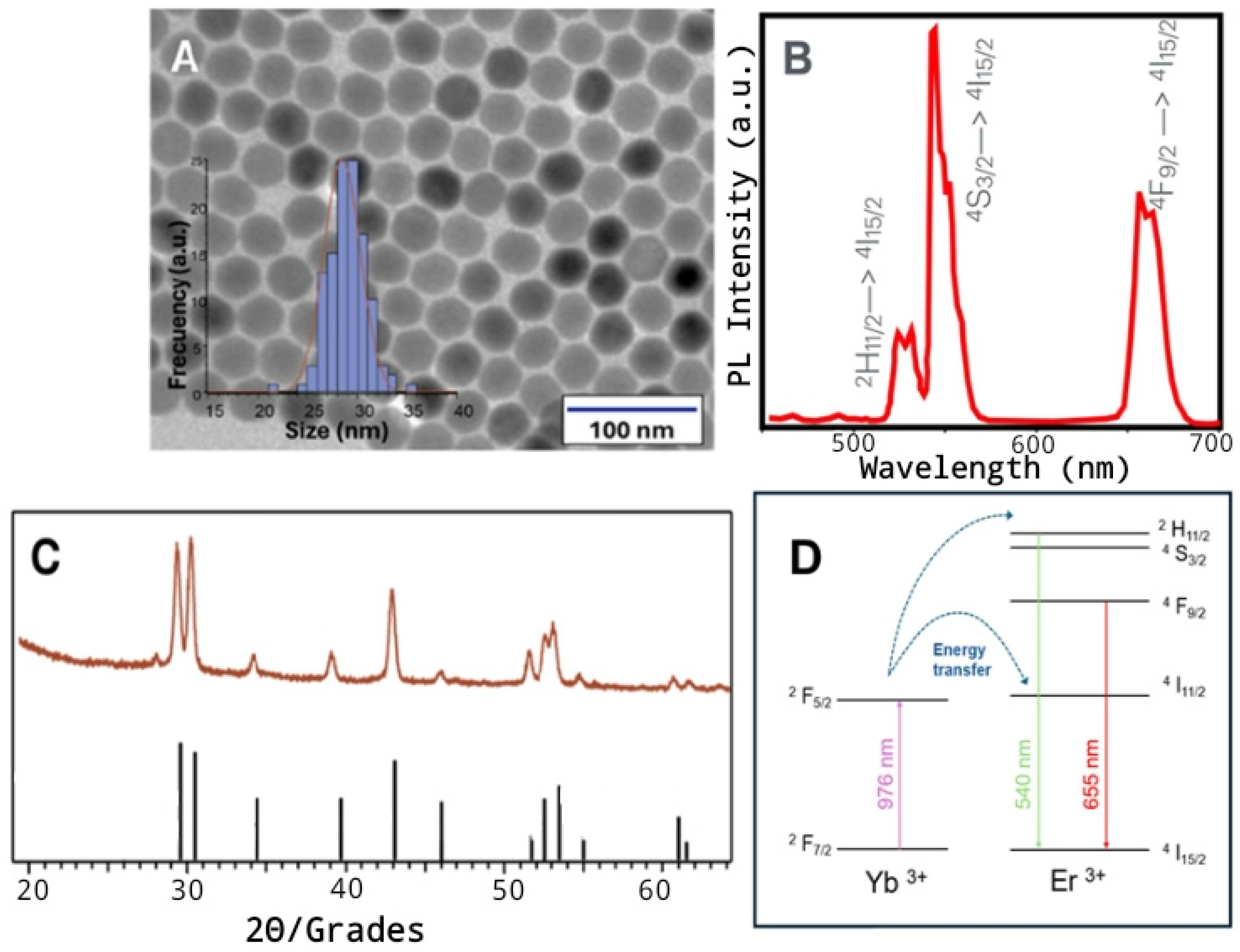 Biosensors 15 00396 g001