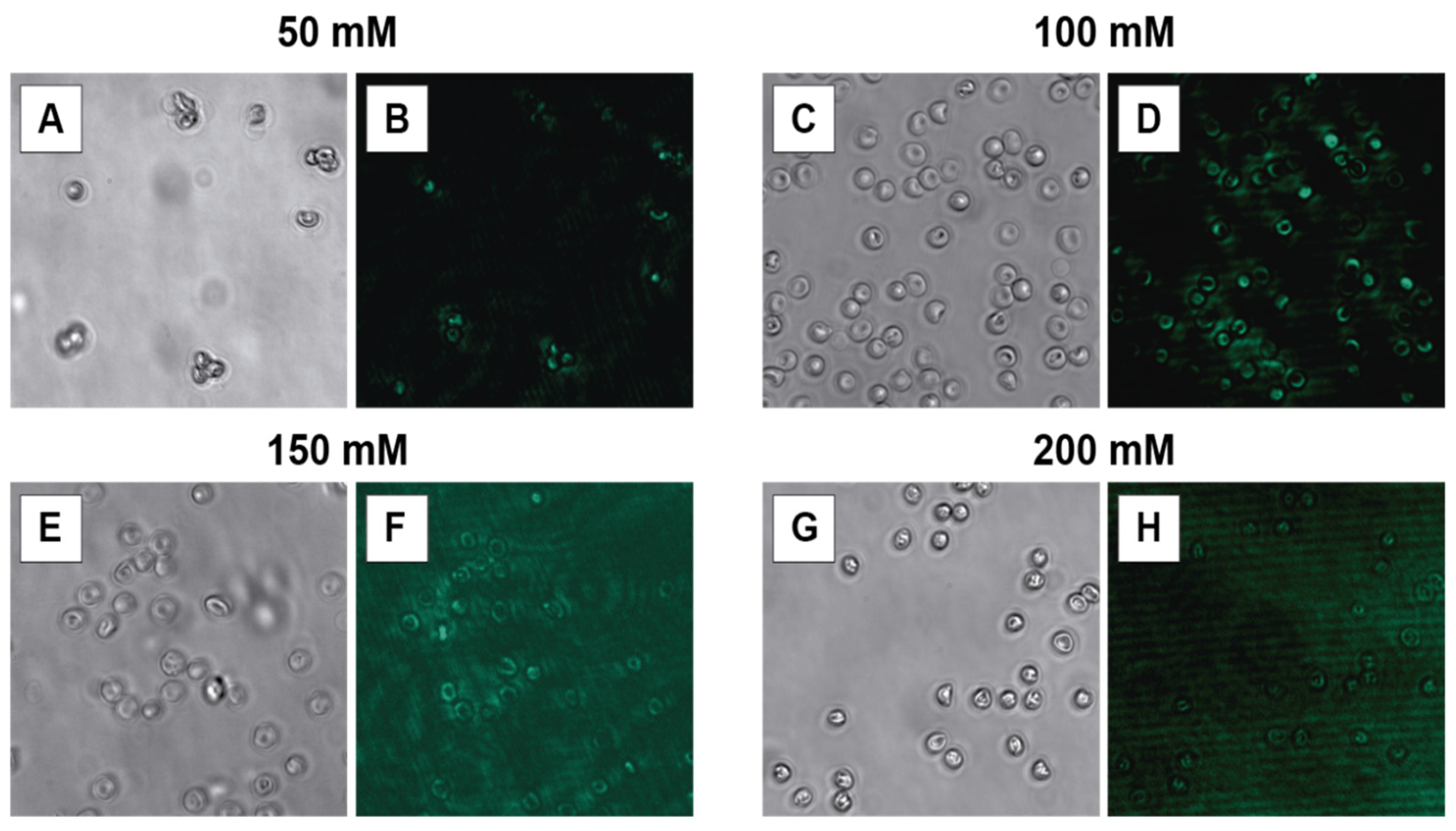 Biosensors 15 00396 g004