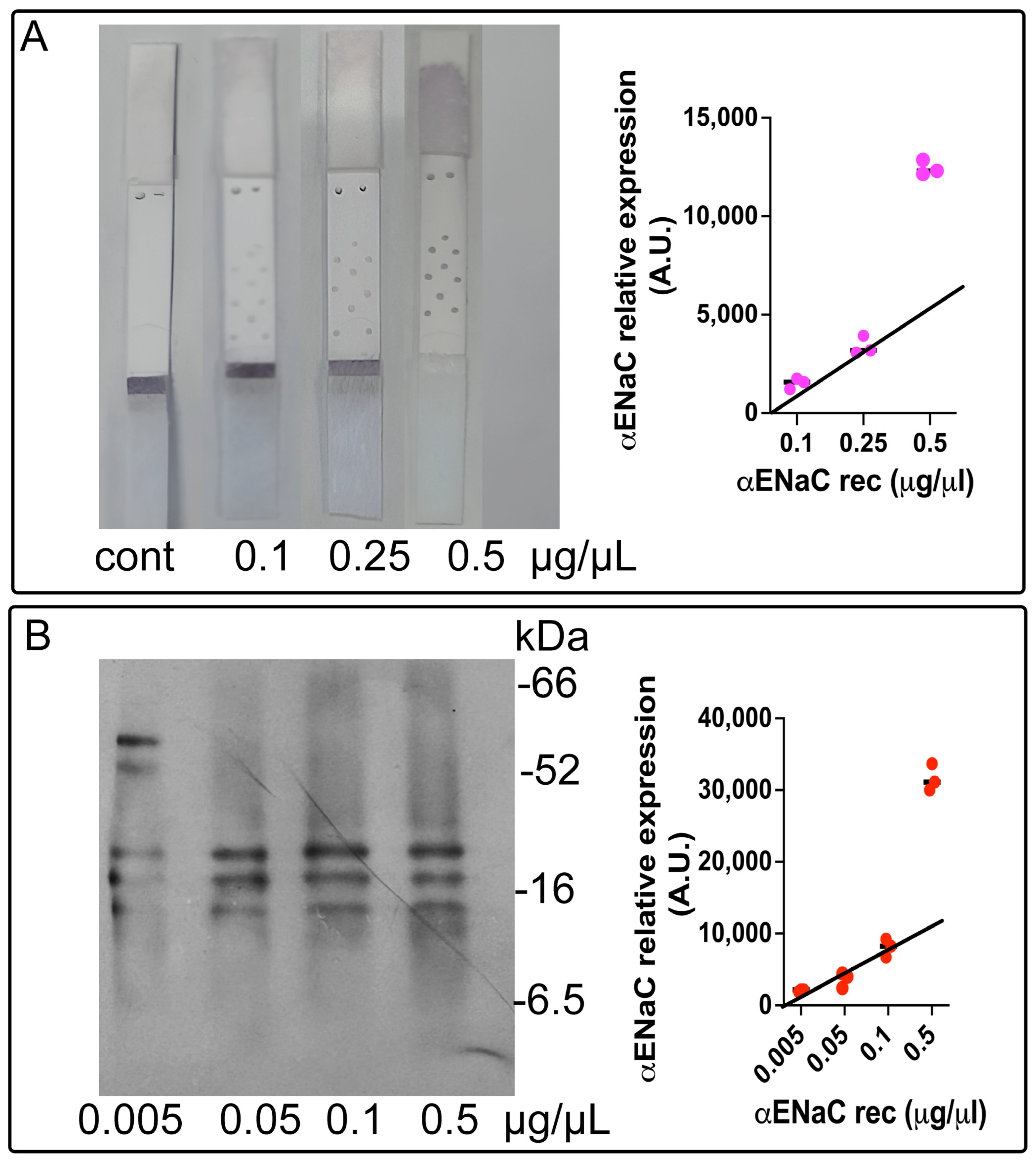 Biosensors 15 00399 g003