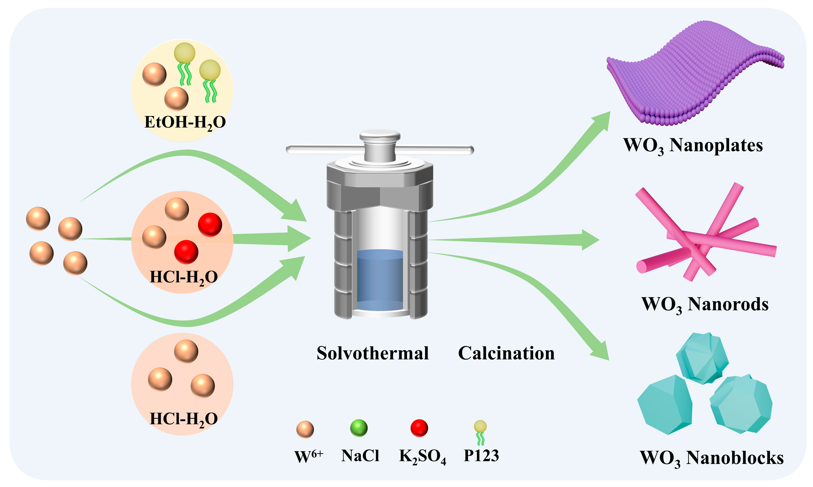 Biosensors 15 00400 g001