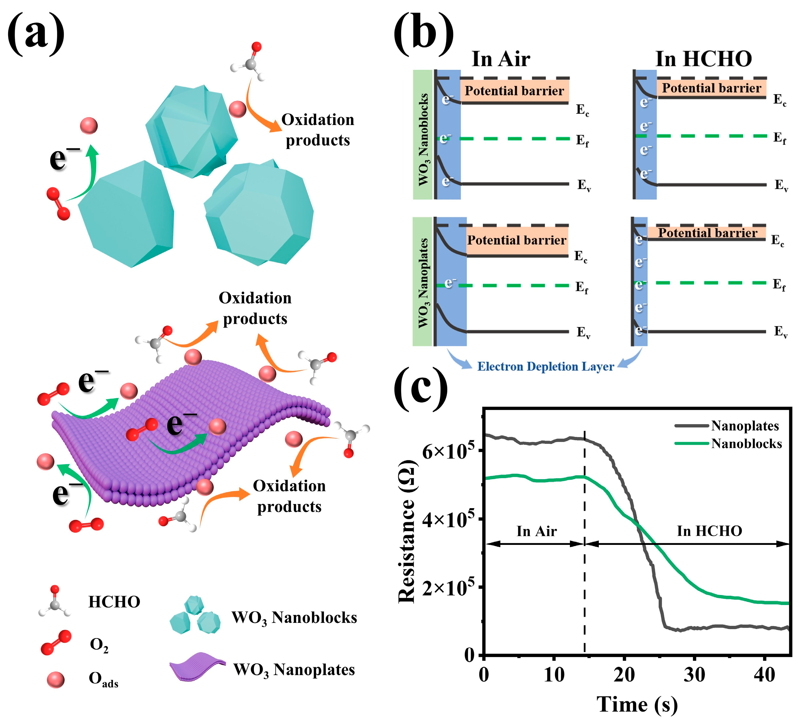 Biosensors 15 00400 g009