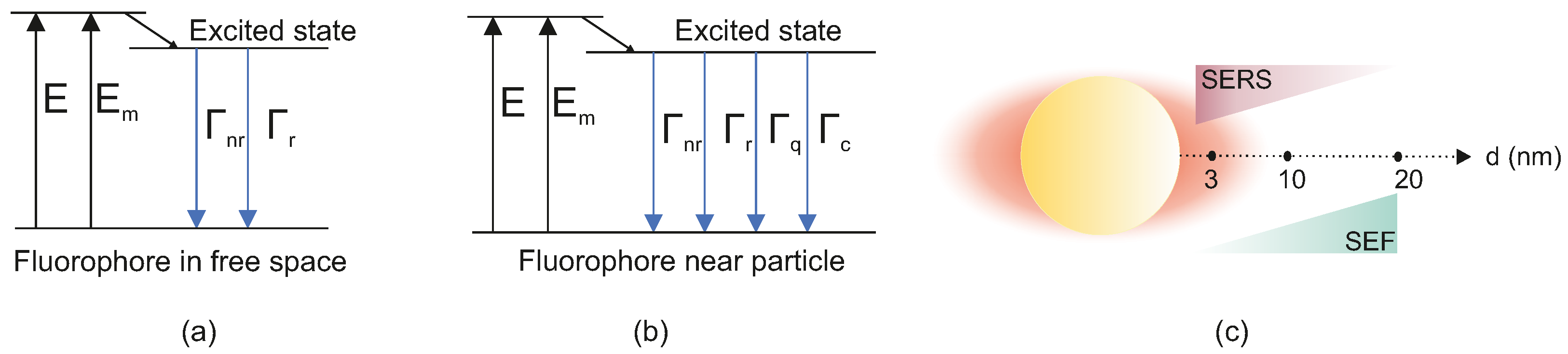 Biosensors 15 00401 g005
