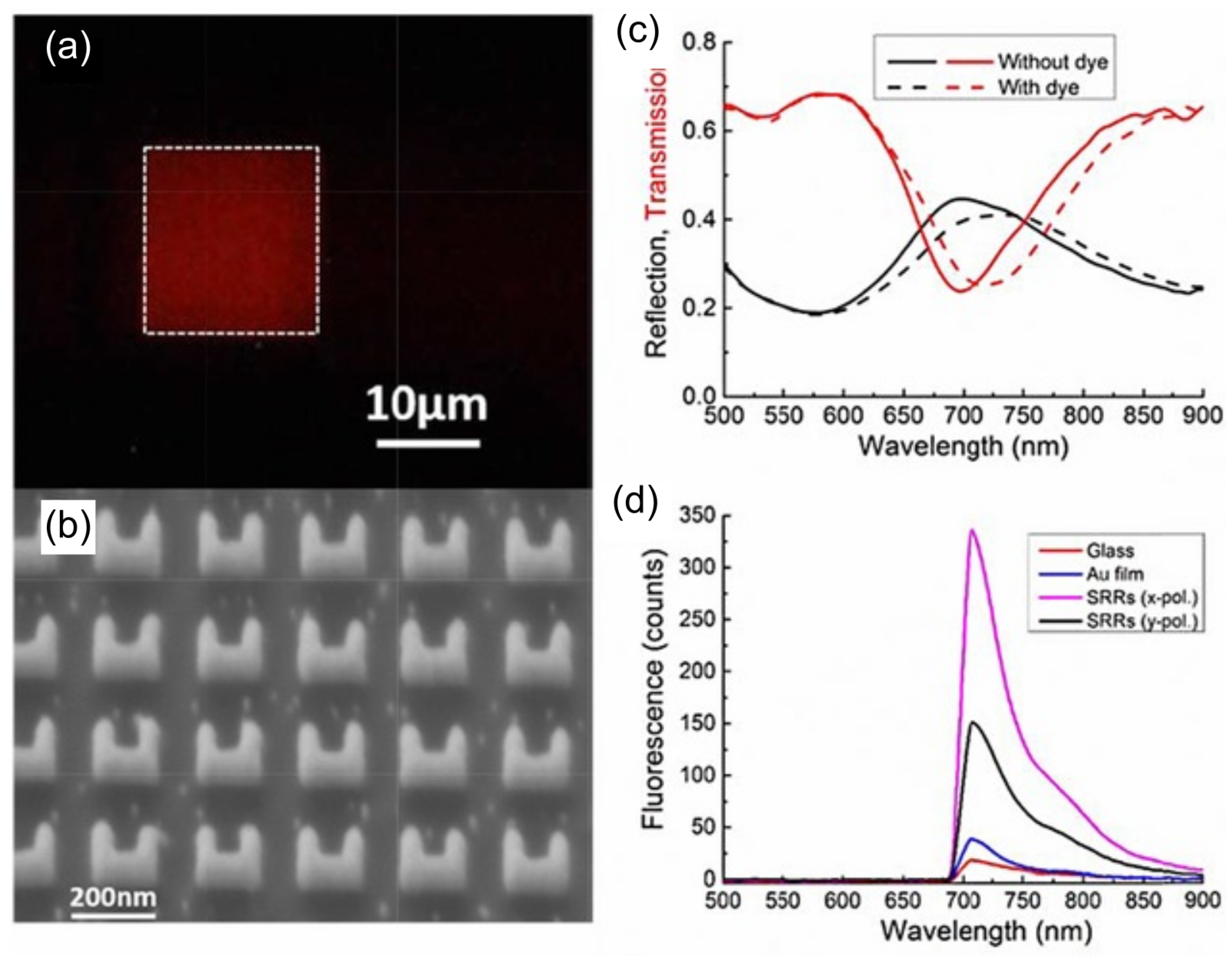 Biosensors 15 00401 g011