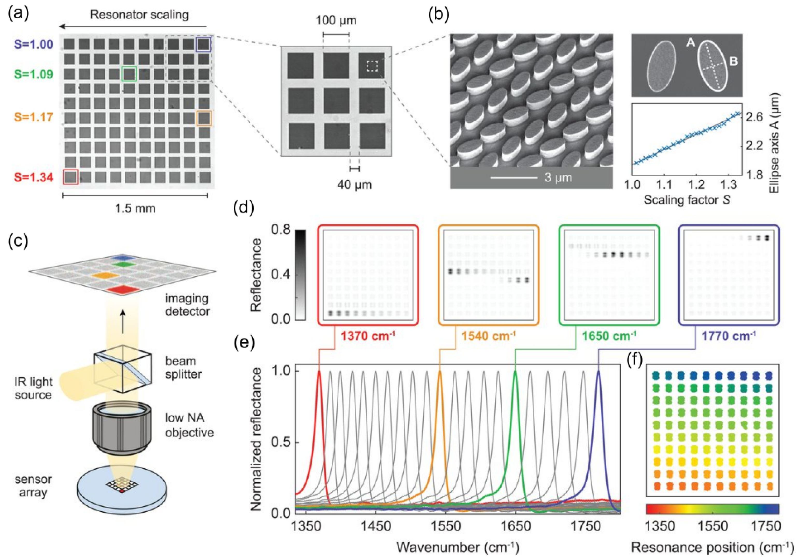 Biosensors 15 00401 g013