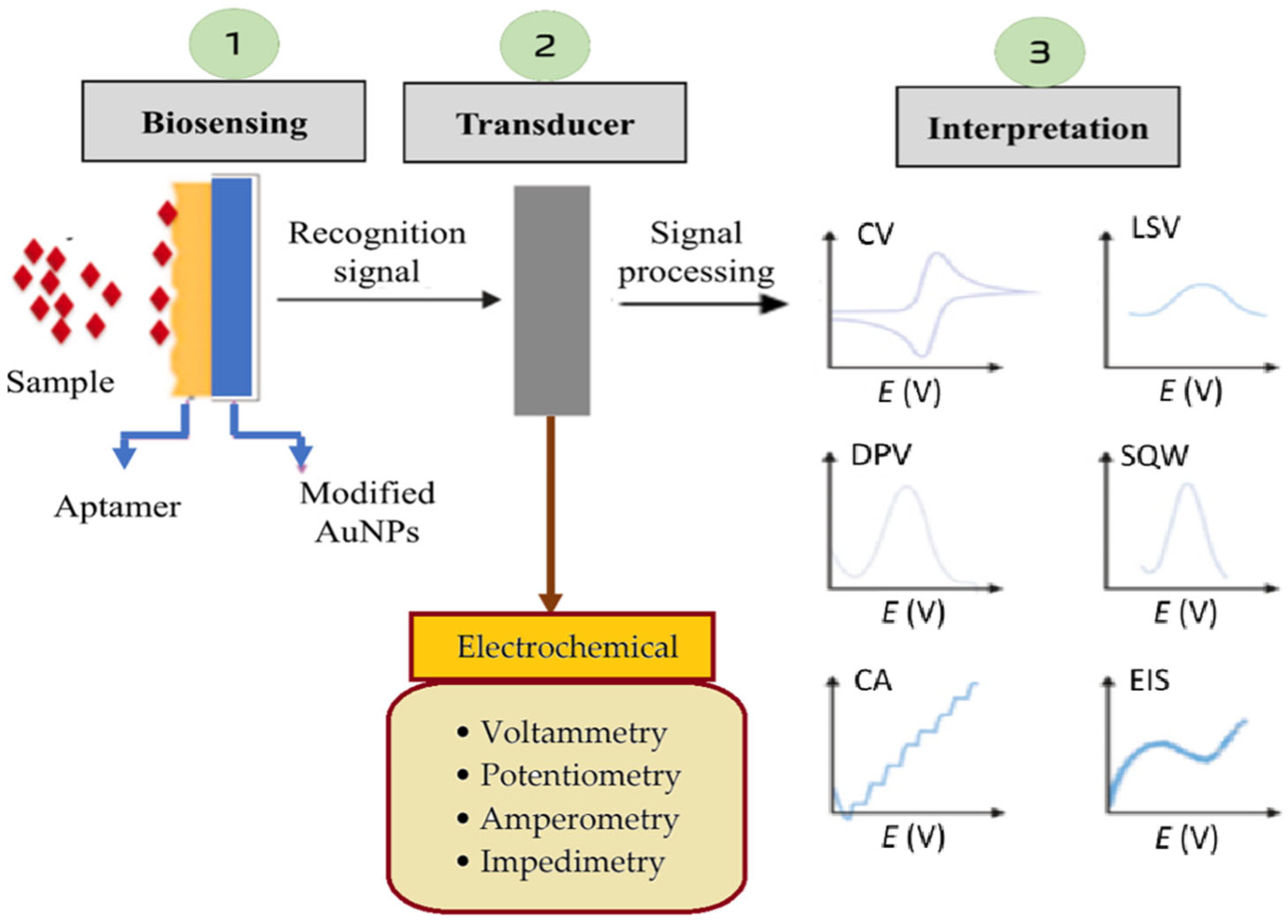 Biosensors 15 00402 g002