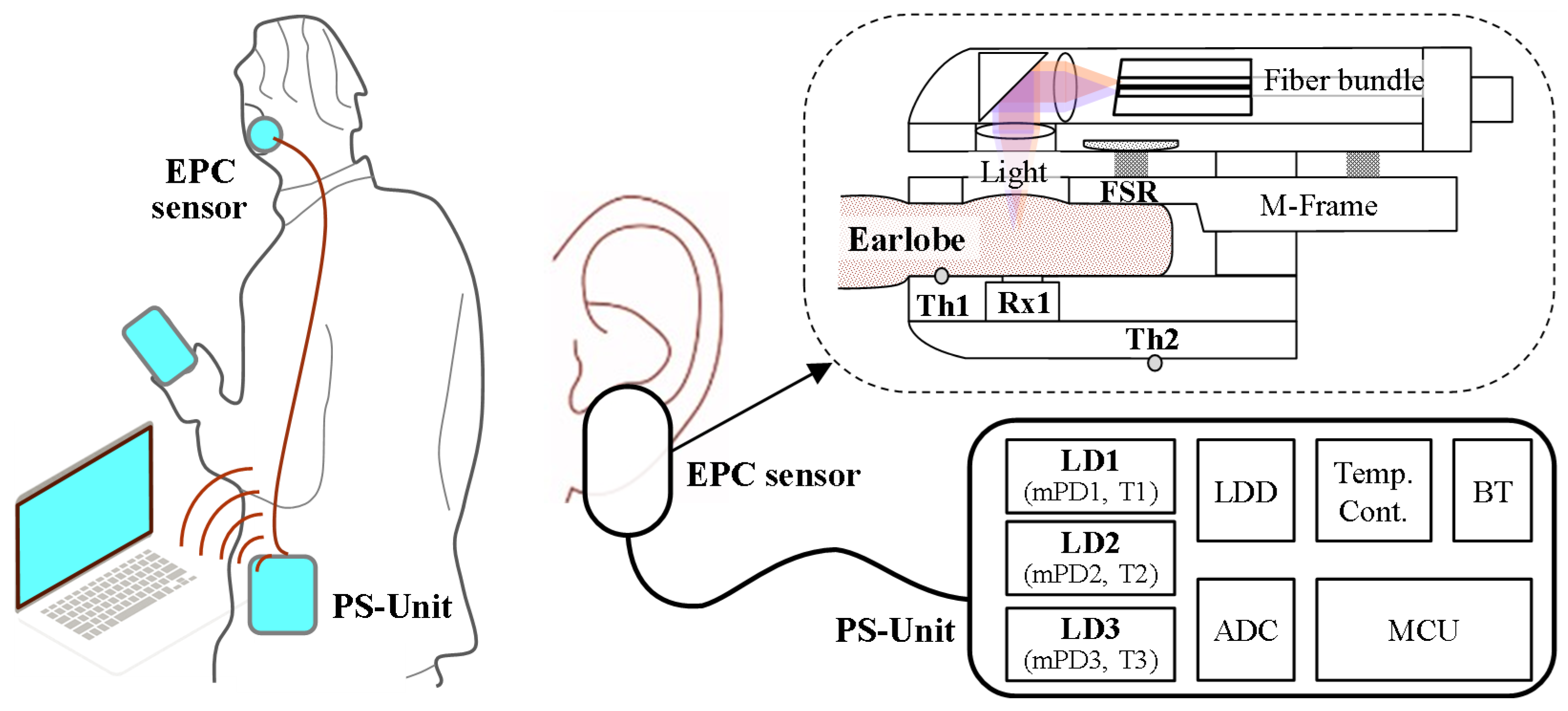 Biosensors 15 00406 g001