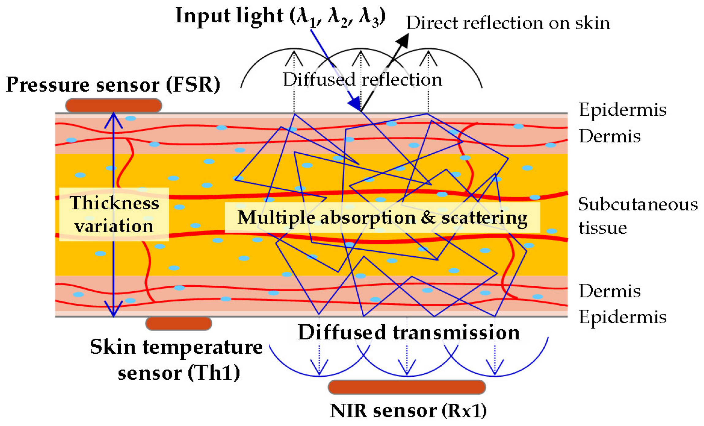 Biosensors 15 00406 g003