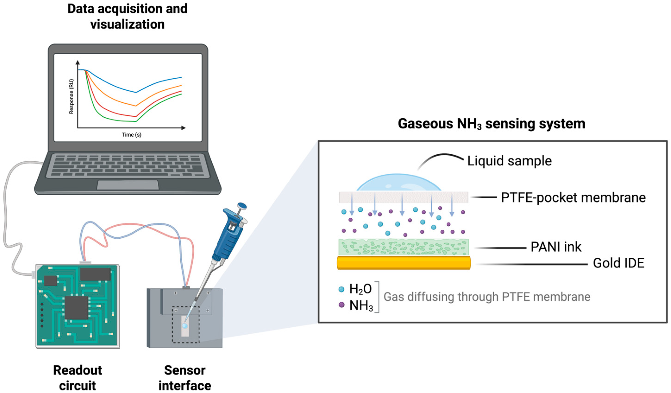 Biosensors 15 00407 g001
