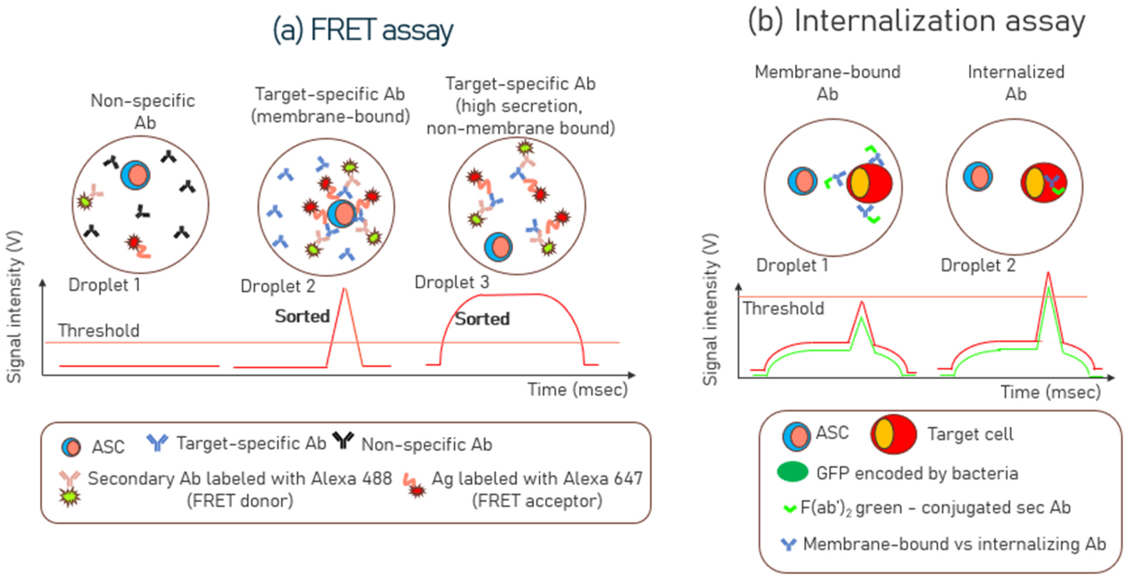 Biosensors 15 00409 g005