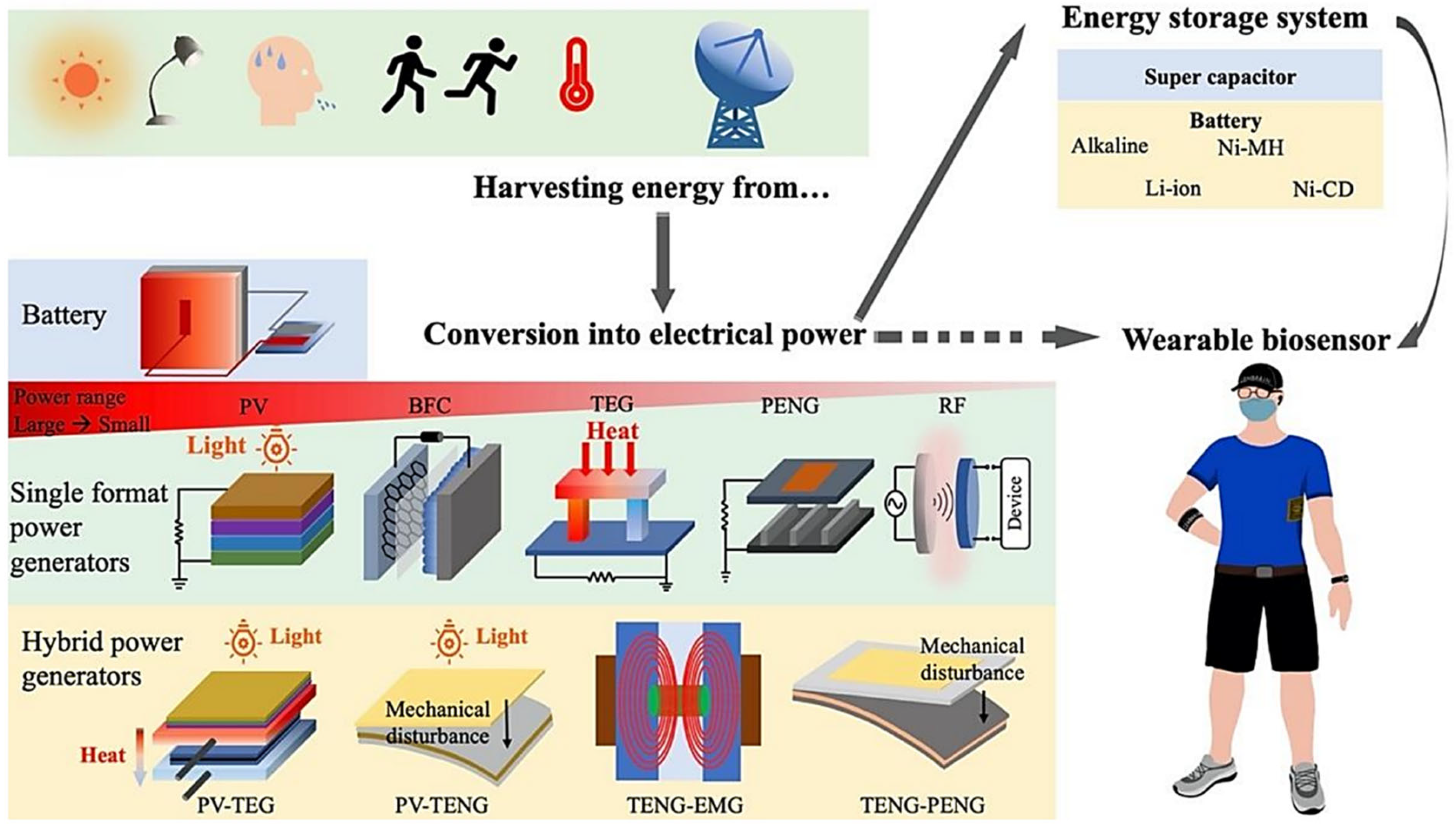 Biosensors 15 00410 g006