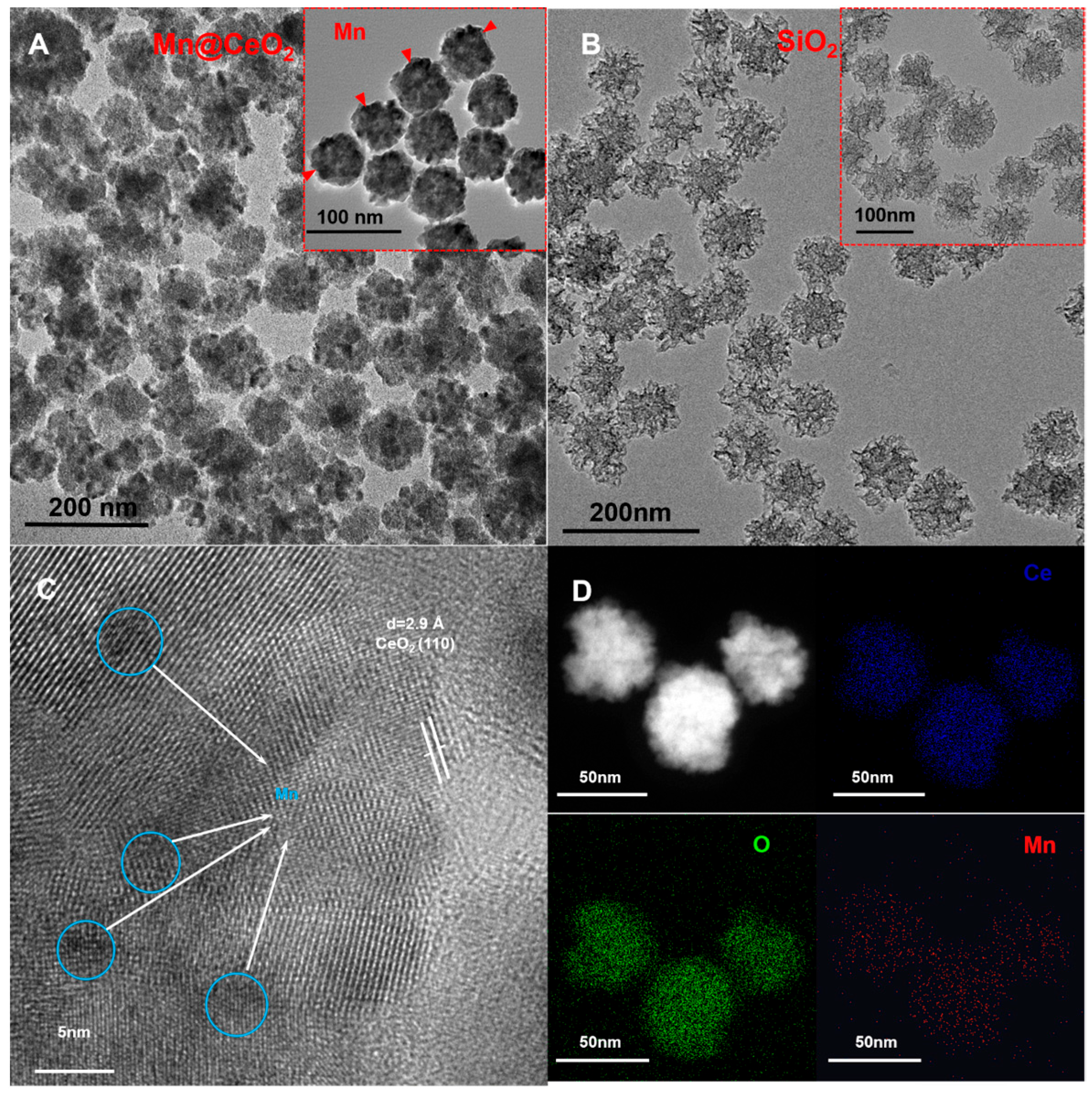 Biosensors 15 00411 g002