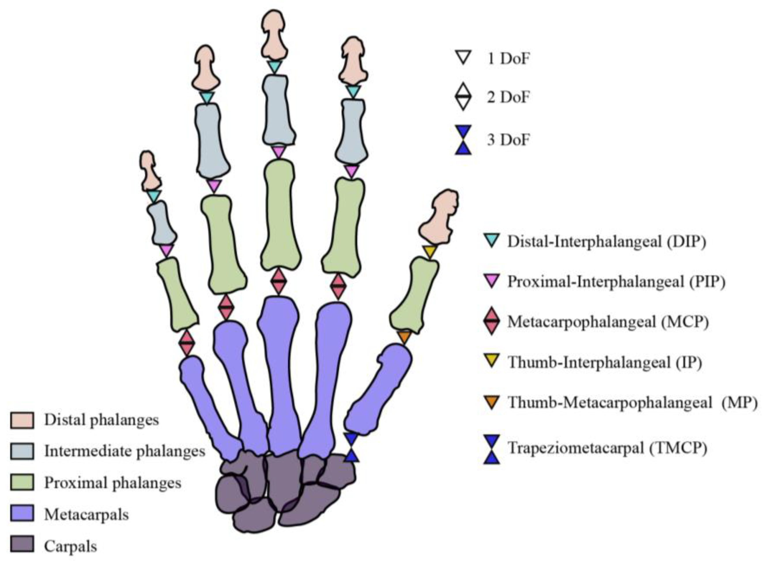 Biosensors 15 00414 g001