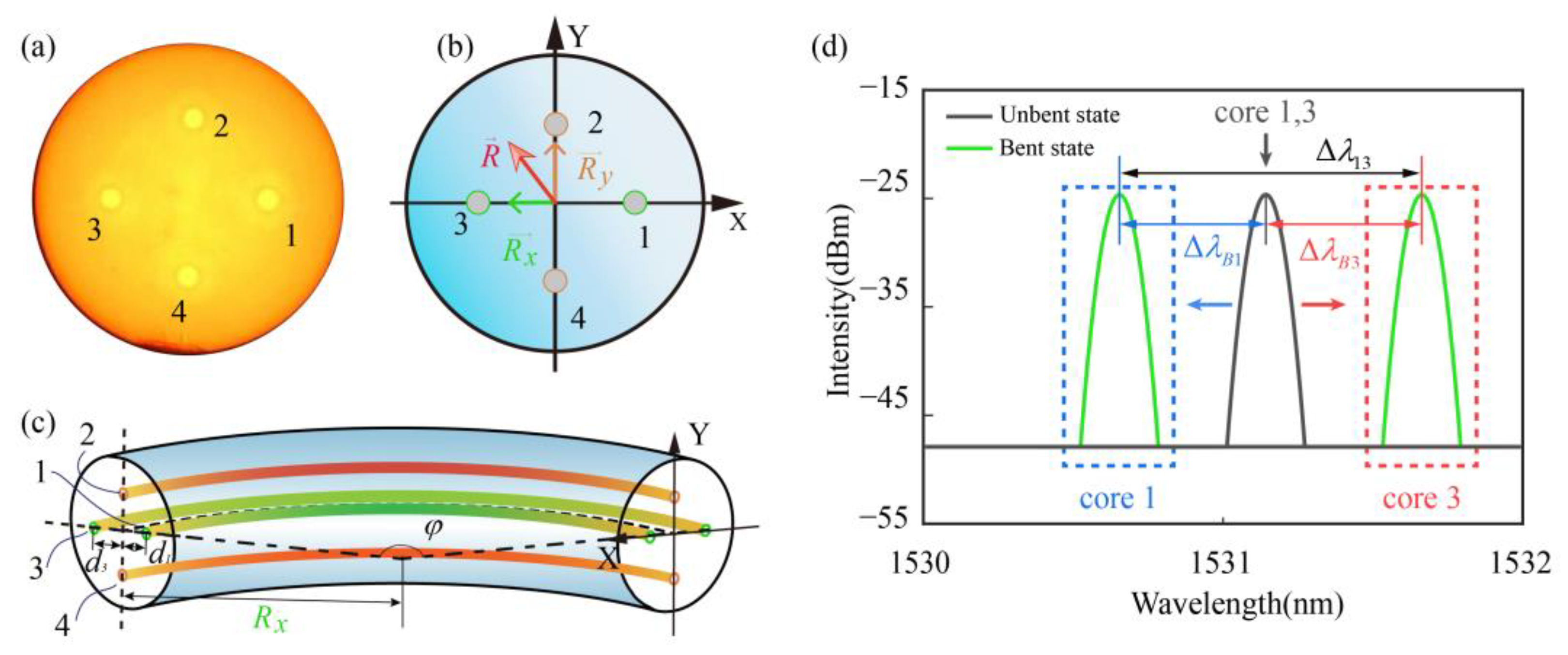 Biosensors 15 00414 g003