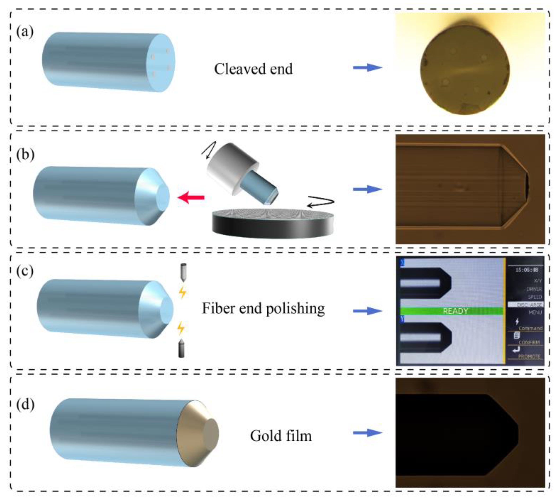 Biosensors 15 00414 g004