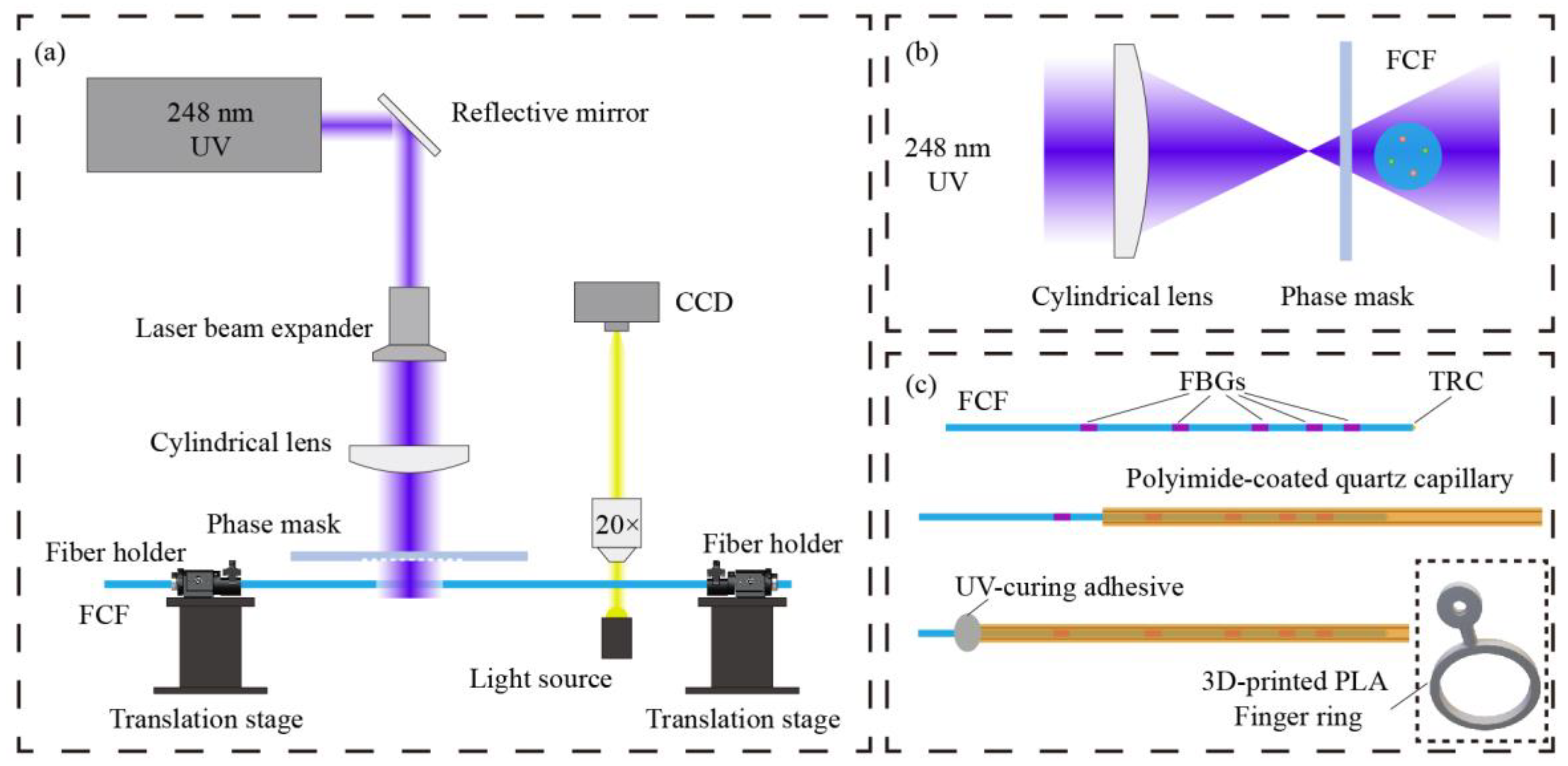 Biosensors 15 00414 g005
