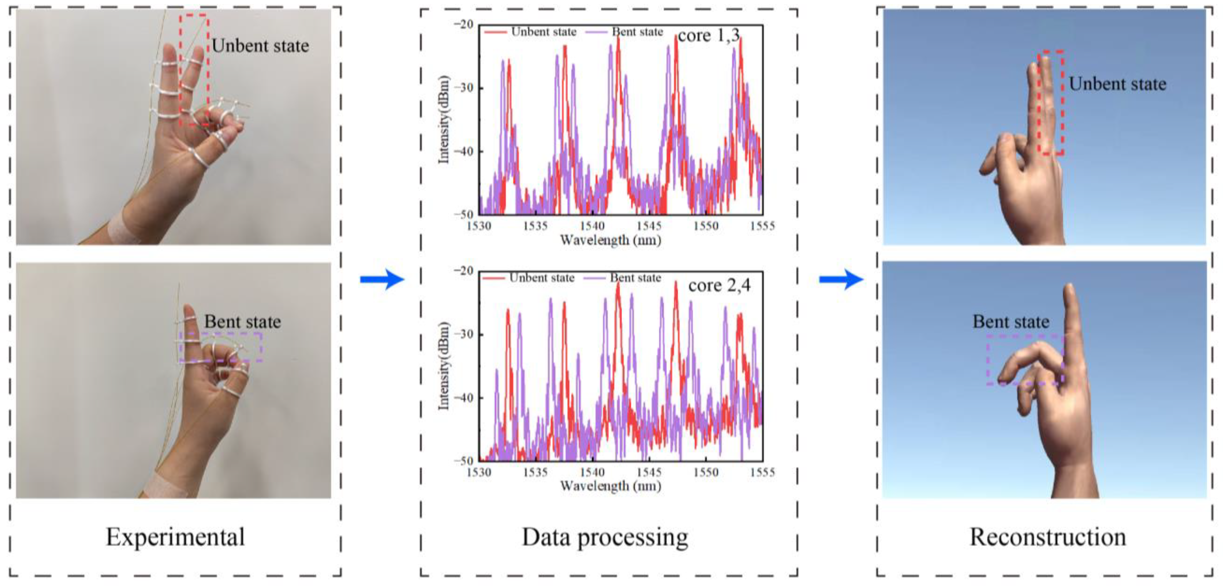 Biosensors 15 00414 g010