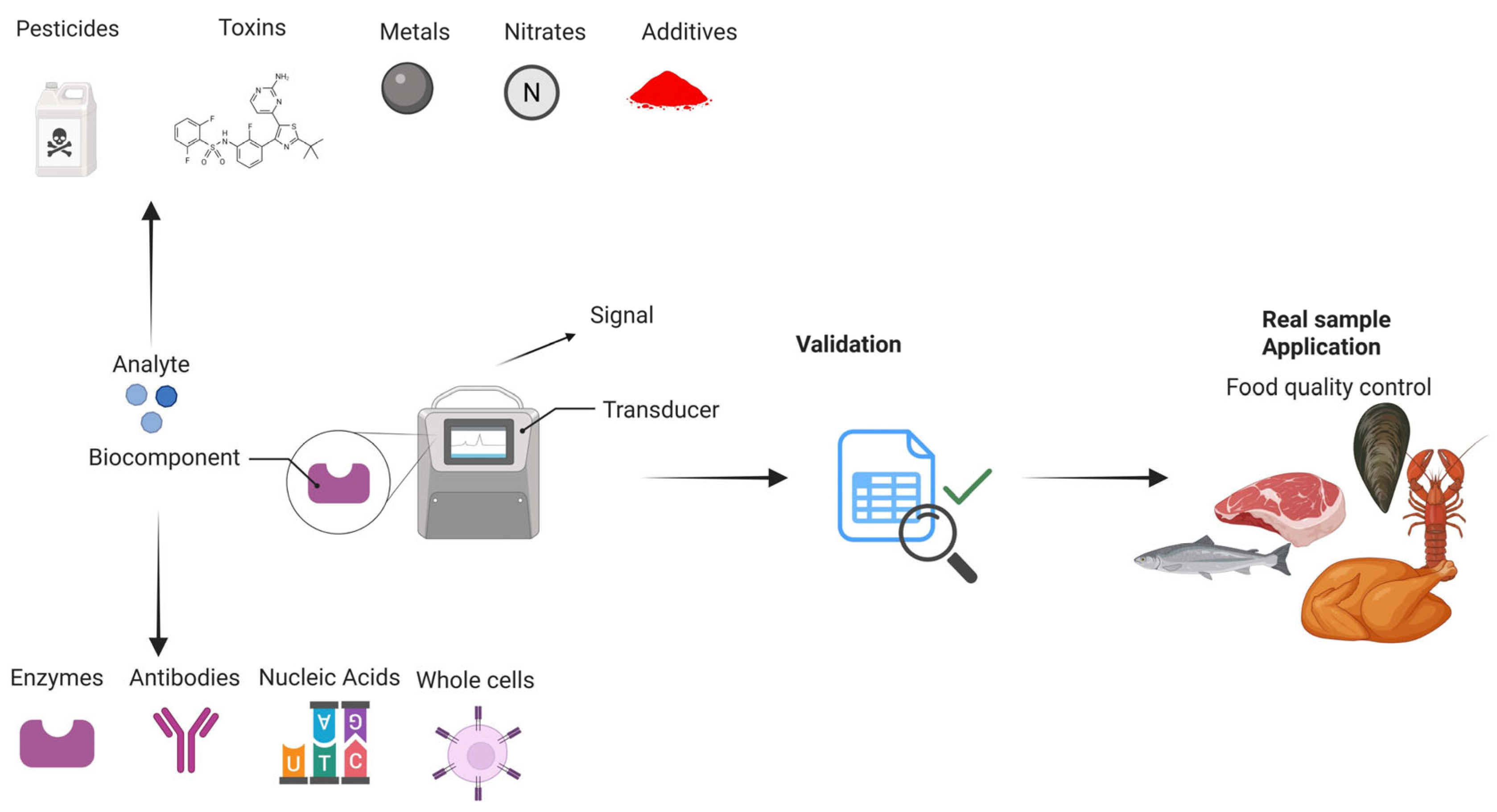 Biosensors 15 00415 g001