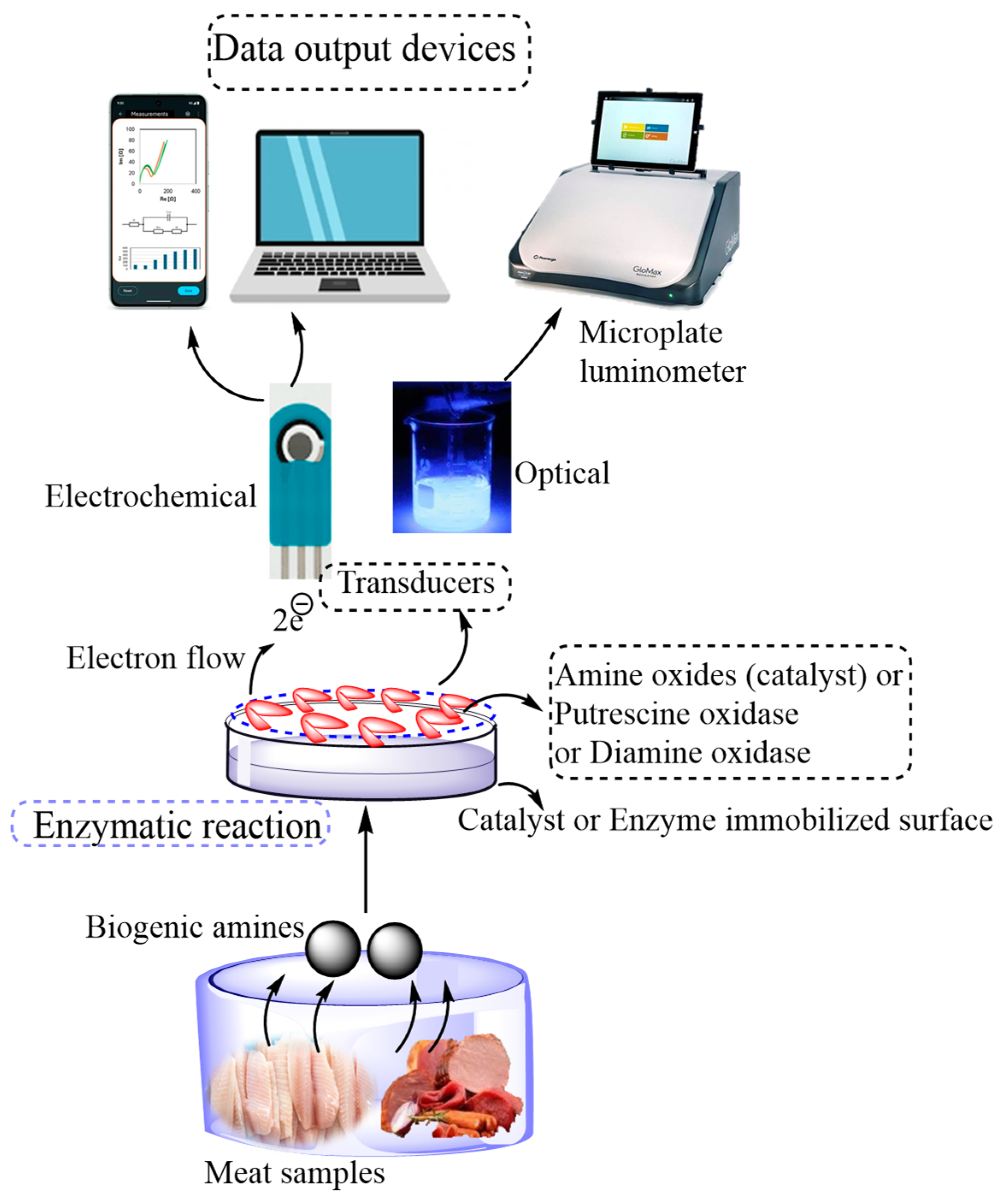 Biosensors 15 00415 g002