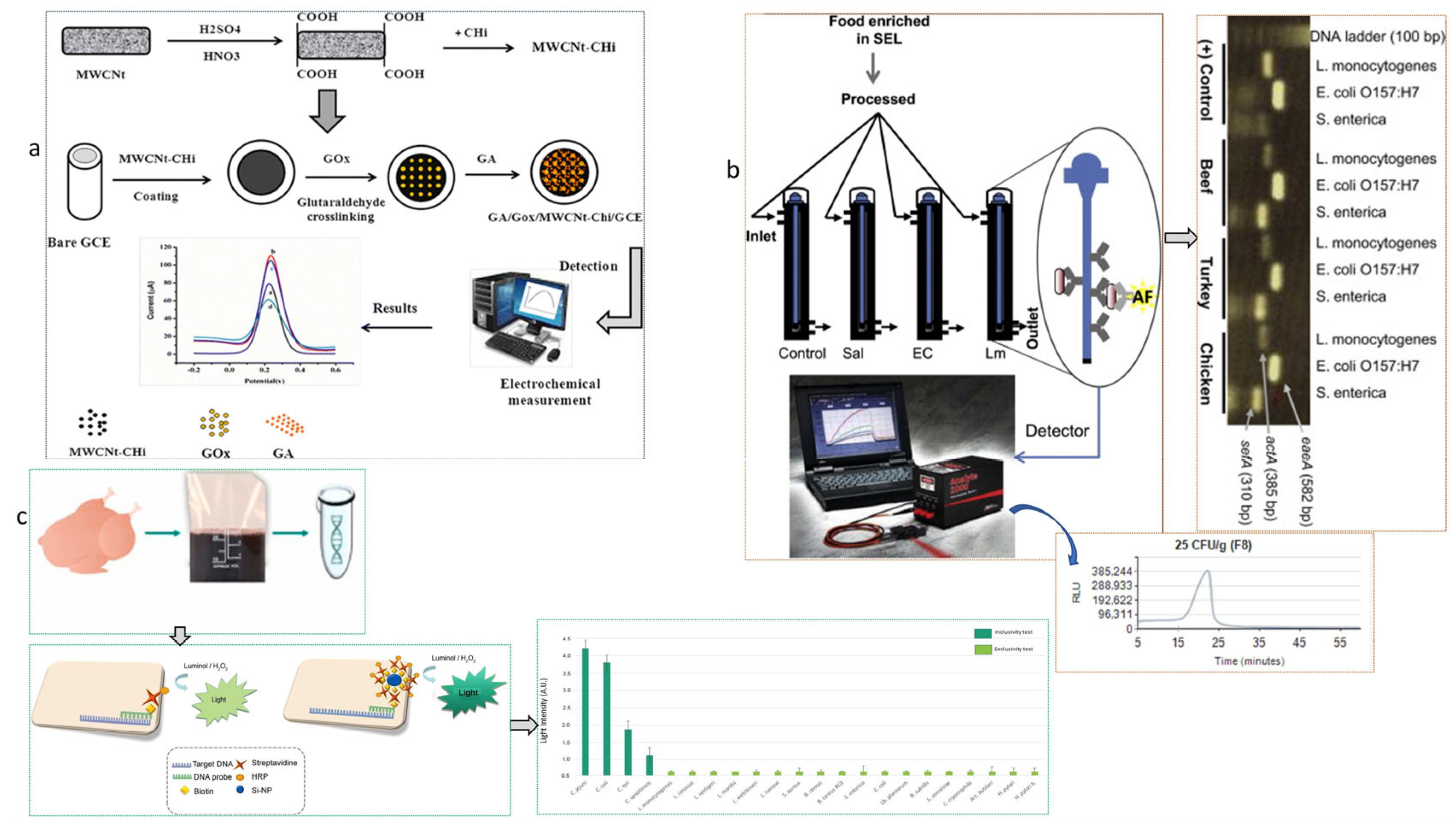 Biosensors 15 00415 g003