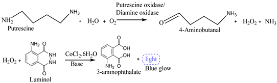 Biosensors 15 00415 i003