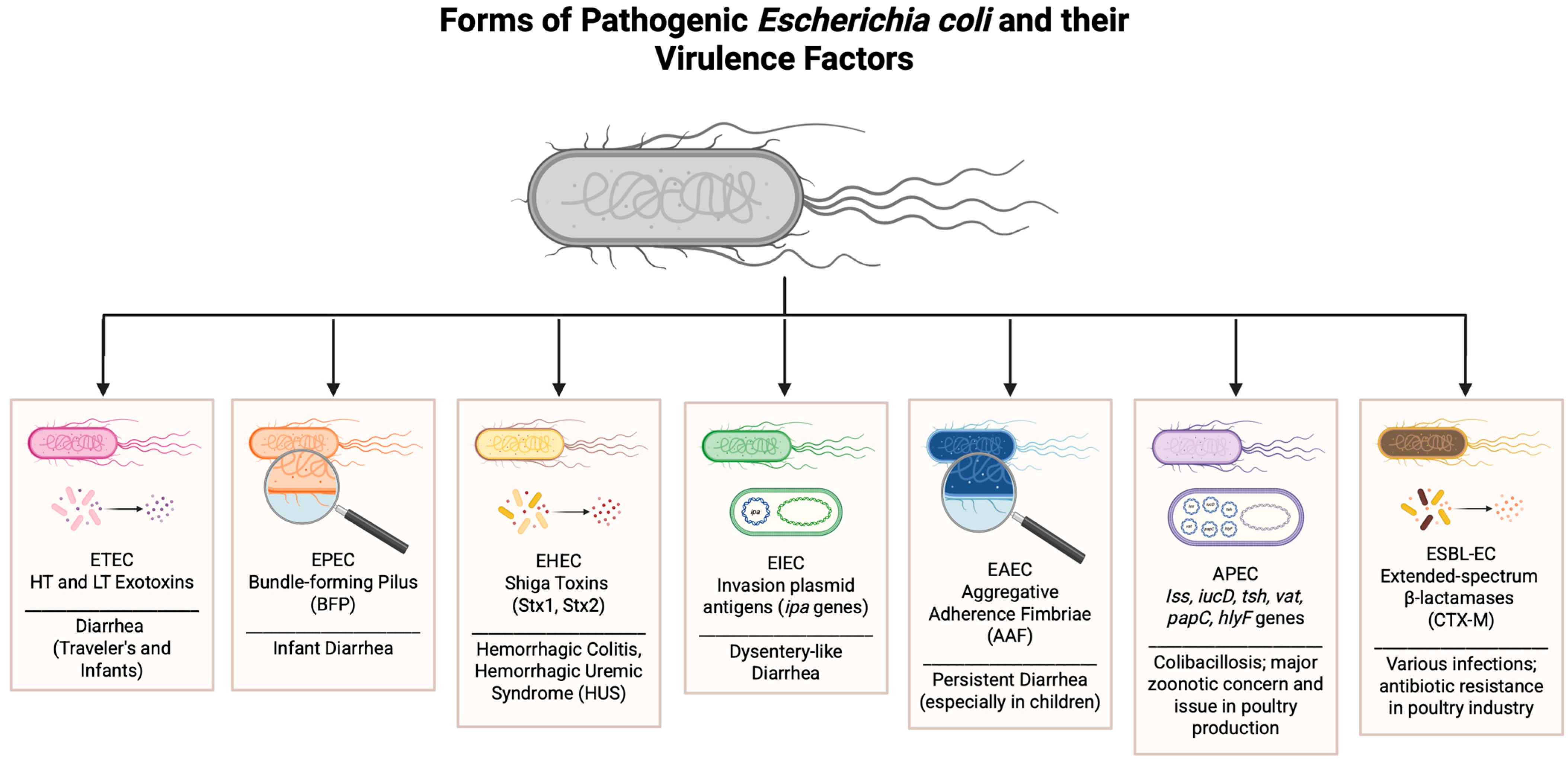 Biosensors 15 00419 g001