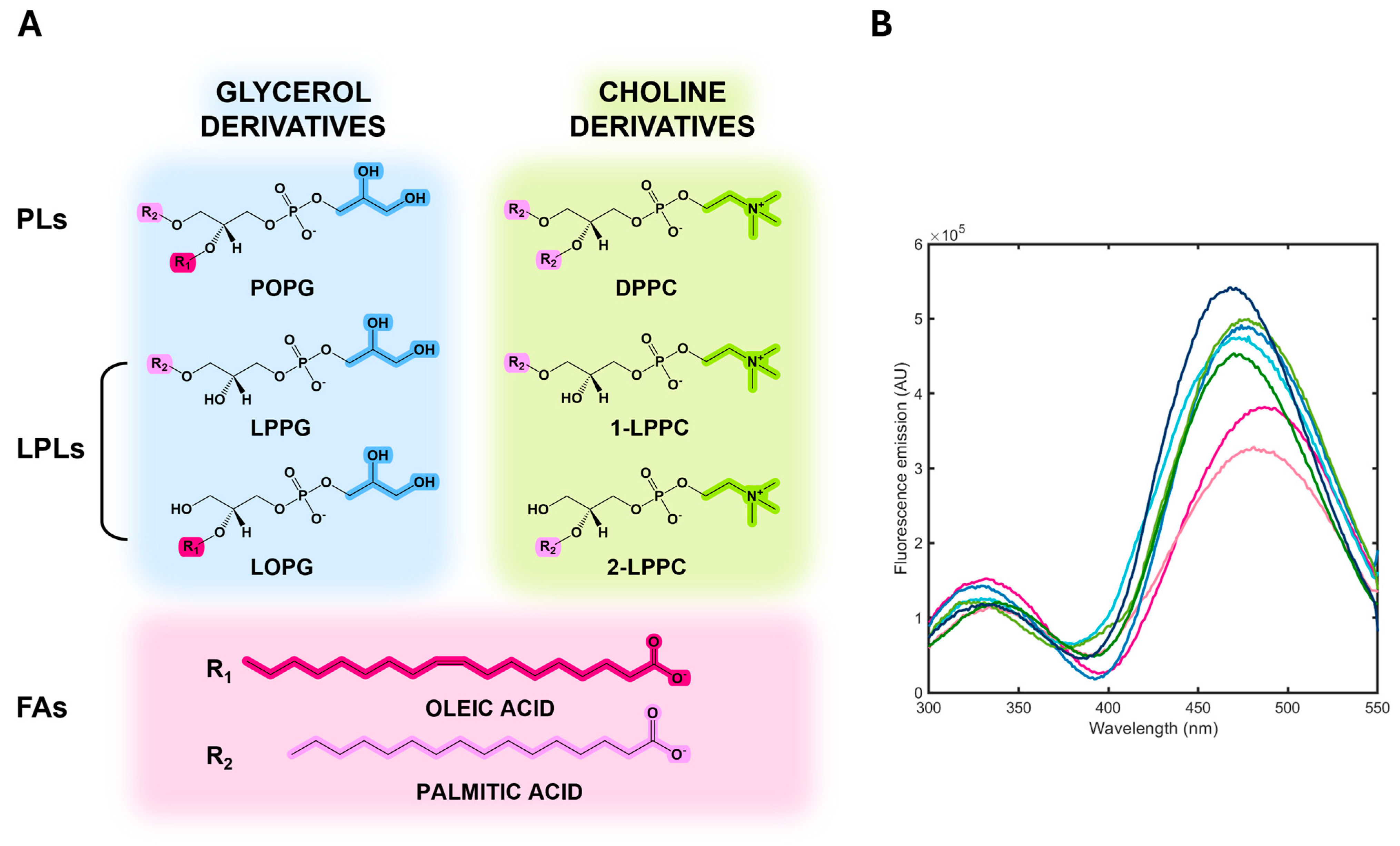 Biosensors 15 00425 g005