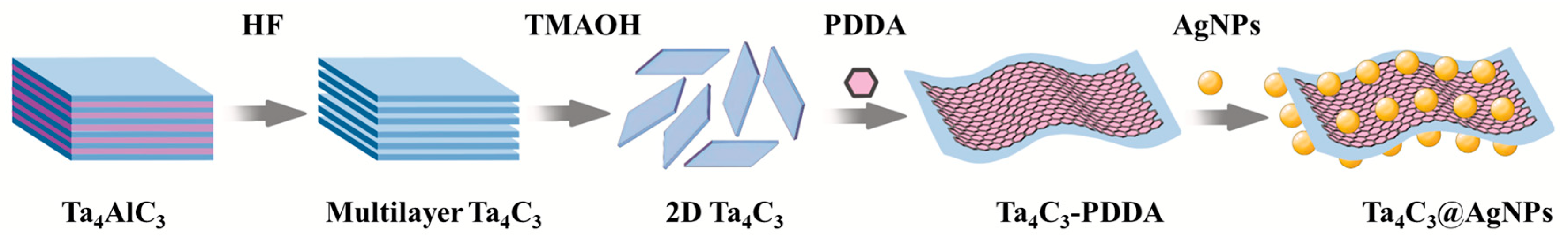 Biosensors 15 00426 g001
