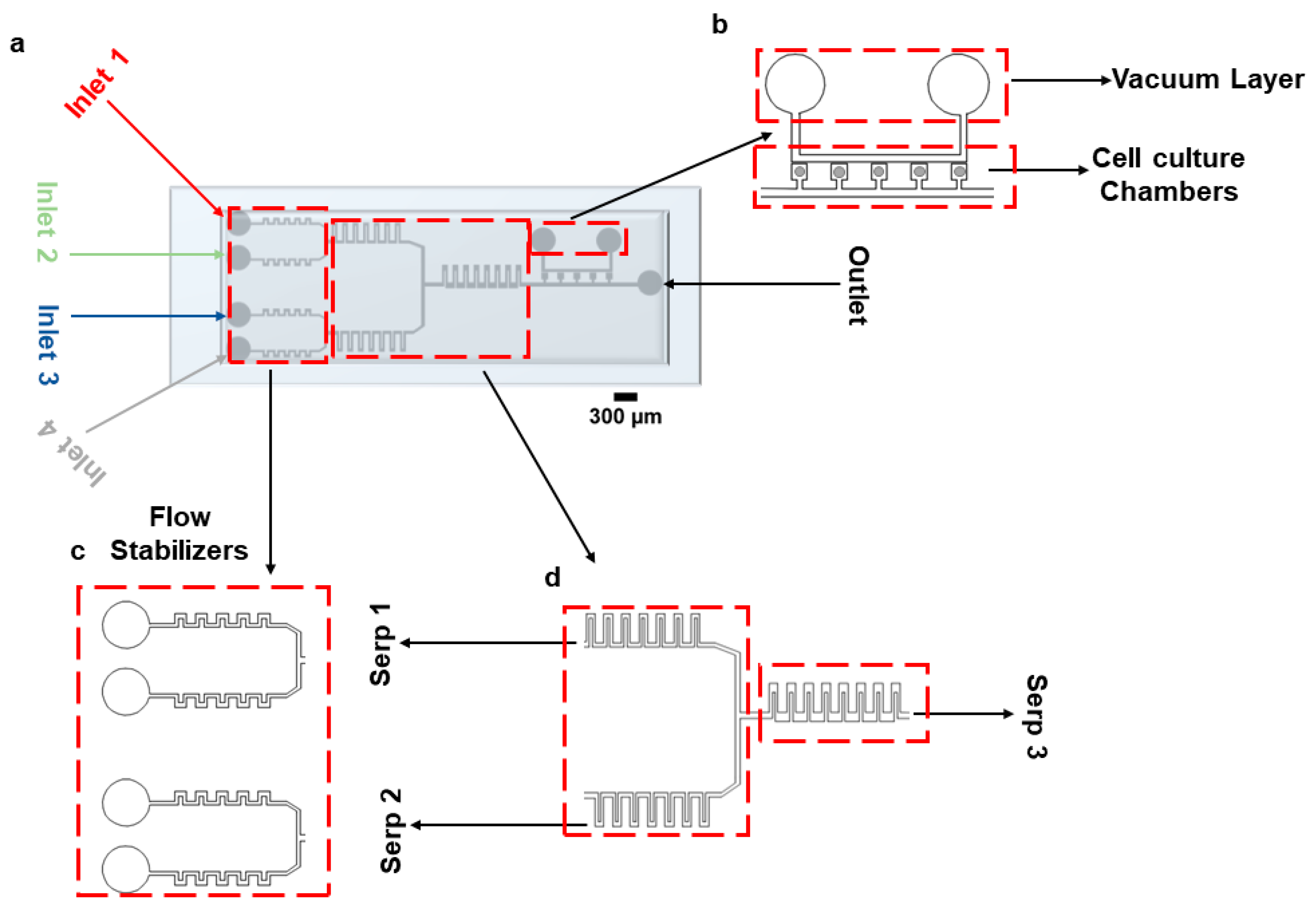 Biosensors 15 00427 g001
