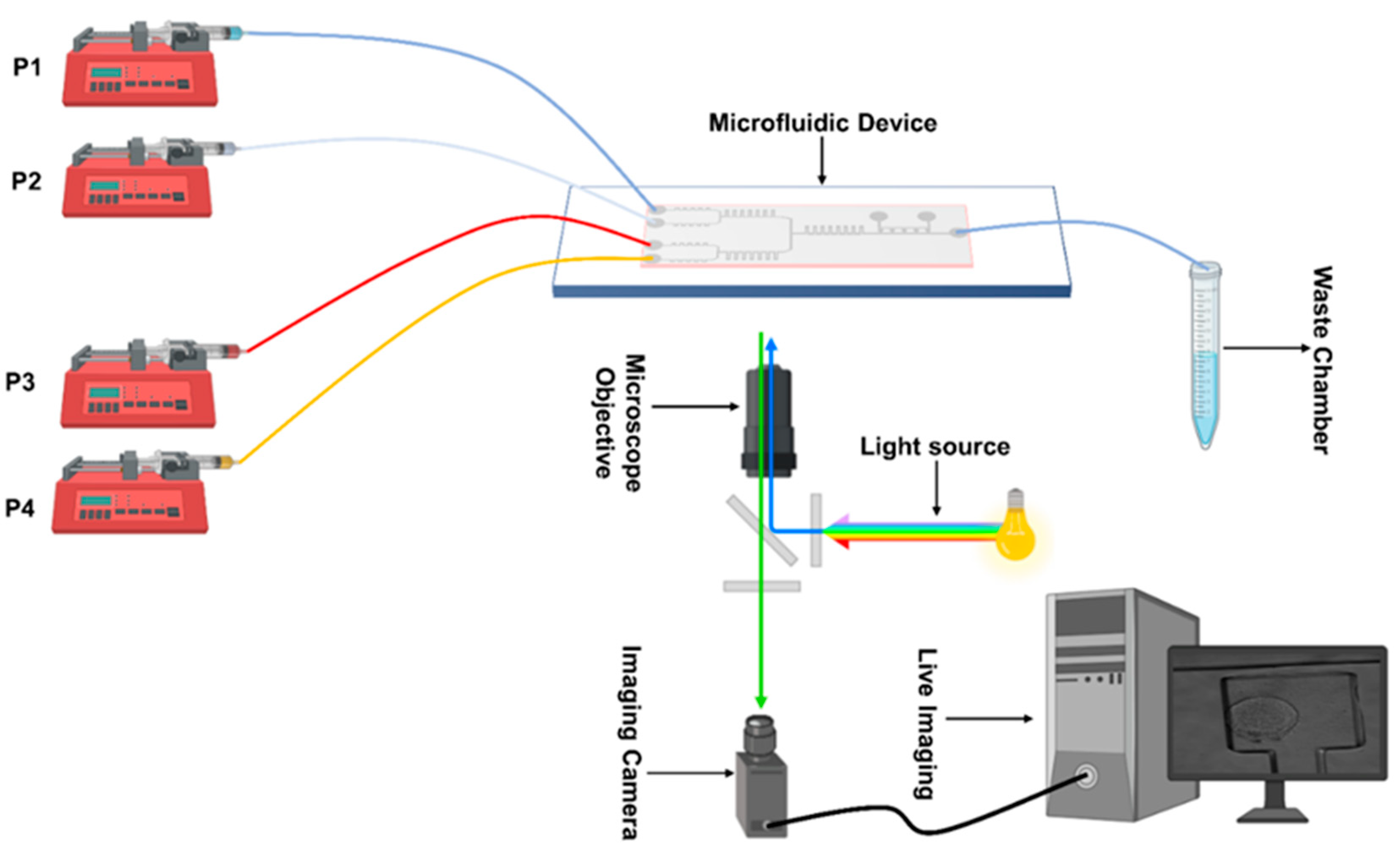 Biosensors 15 00427 g002