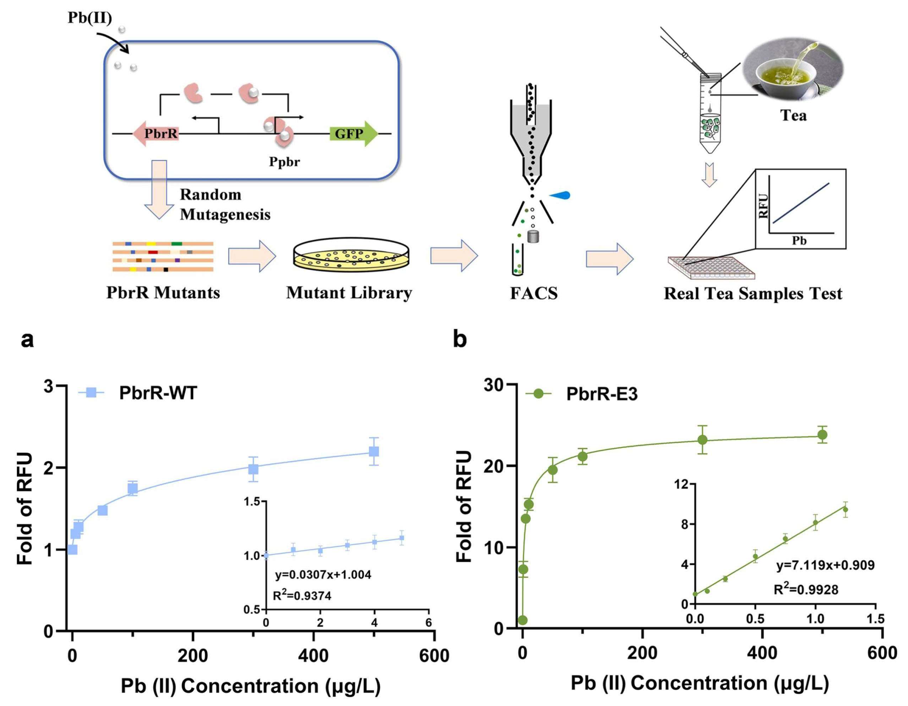 Biosensors 15 00430 g002 Biosensors 15 00430 g002