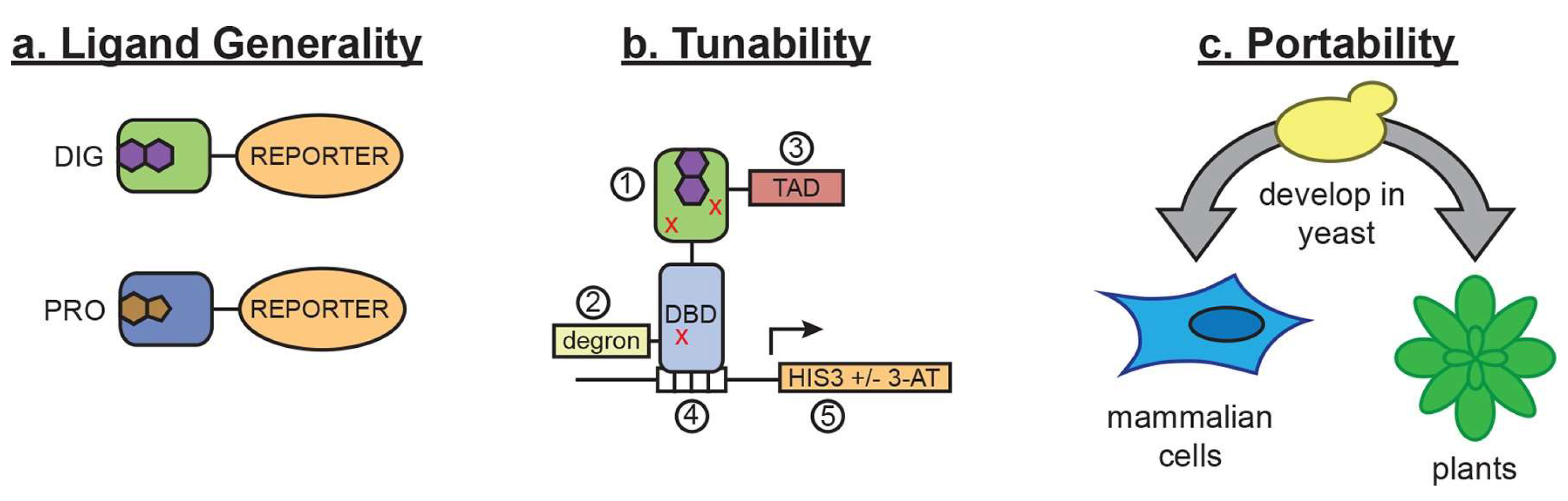 Biosensors 15 00430 g003 Biosensors 15 00430 g003