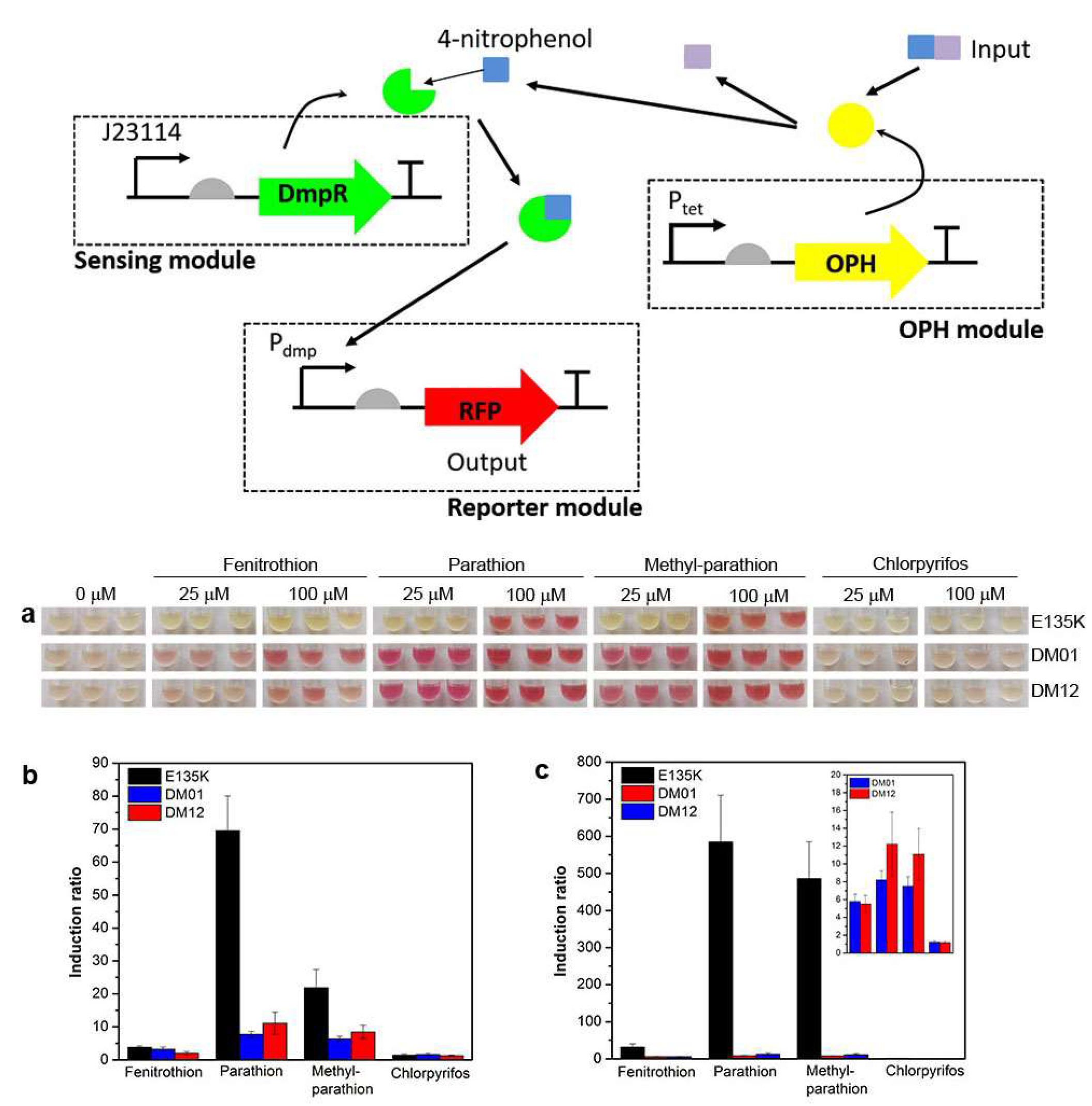 Biosensors 15 00430 g006 Biosensors 15 00430 g006