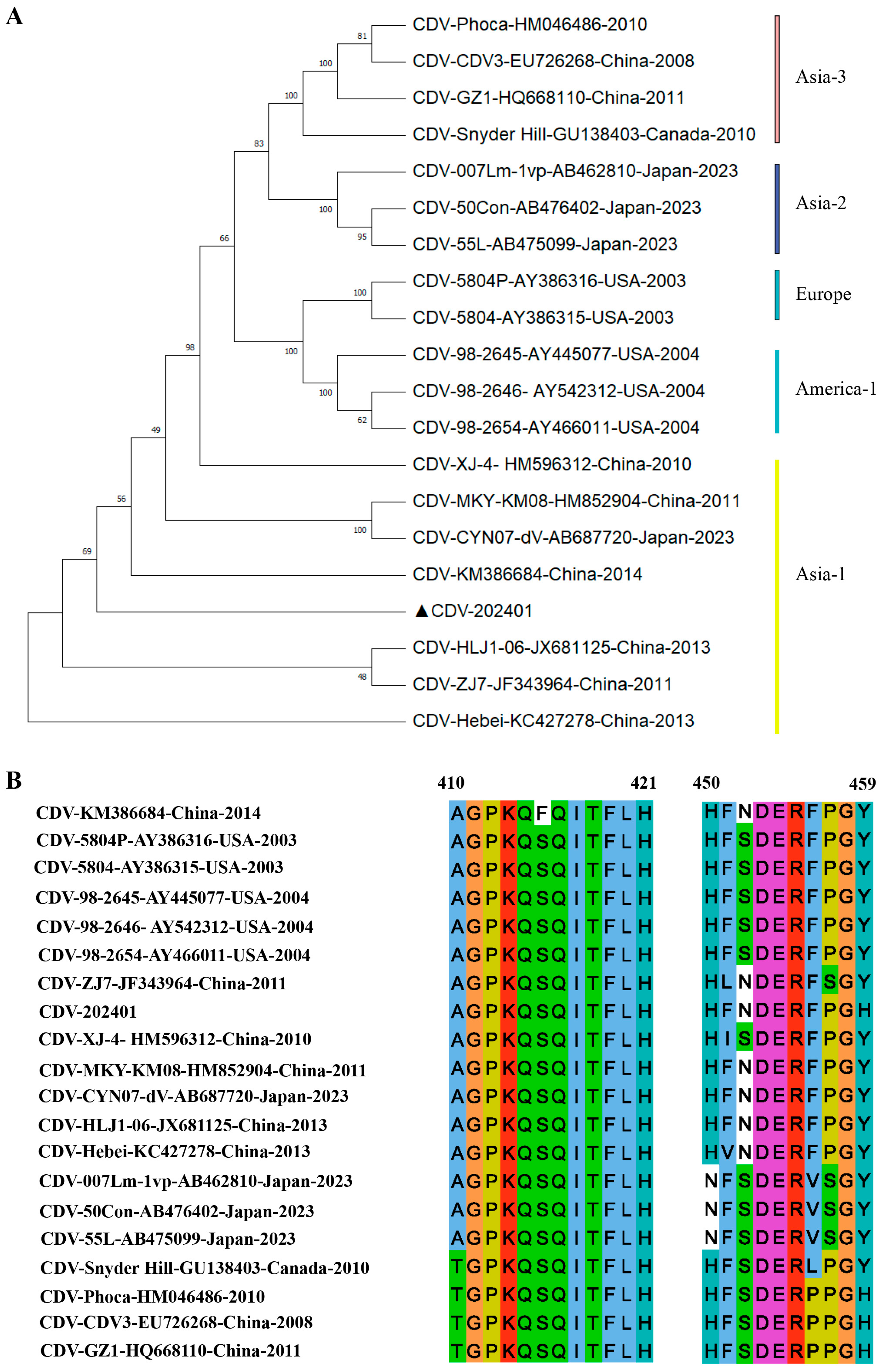 Biosensors 15 00432 g004 Biosensors 15 00432 g004