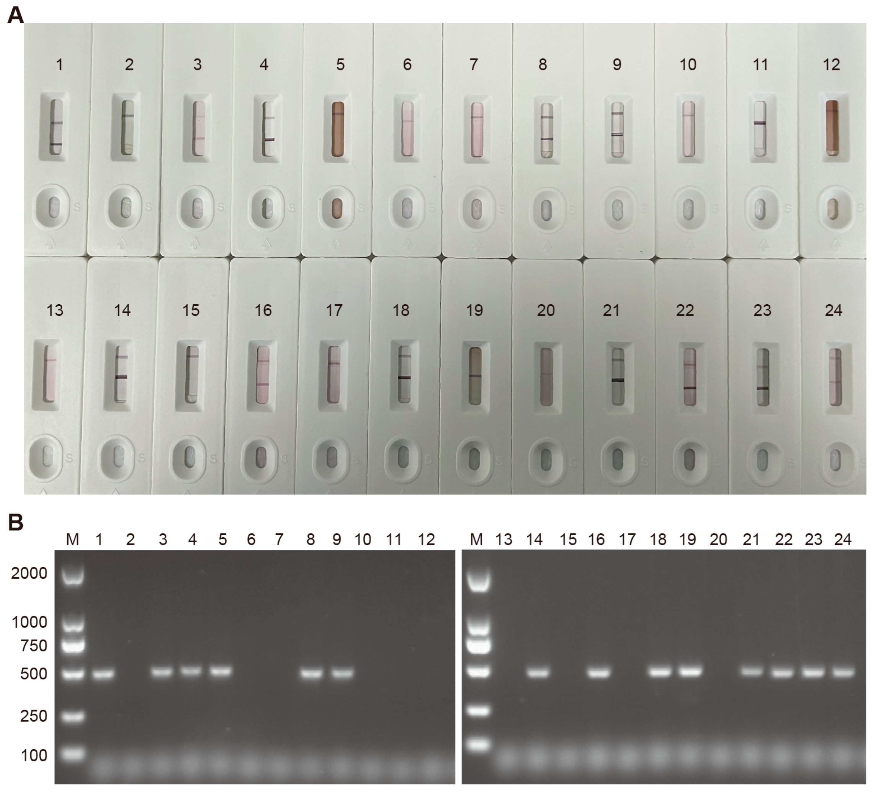 Biosensors 15 00432 g007 Biosensors 15 00432 g007