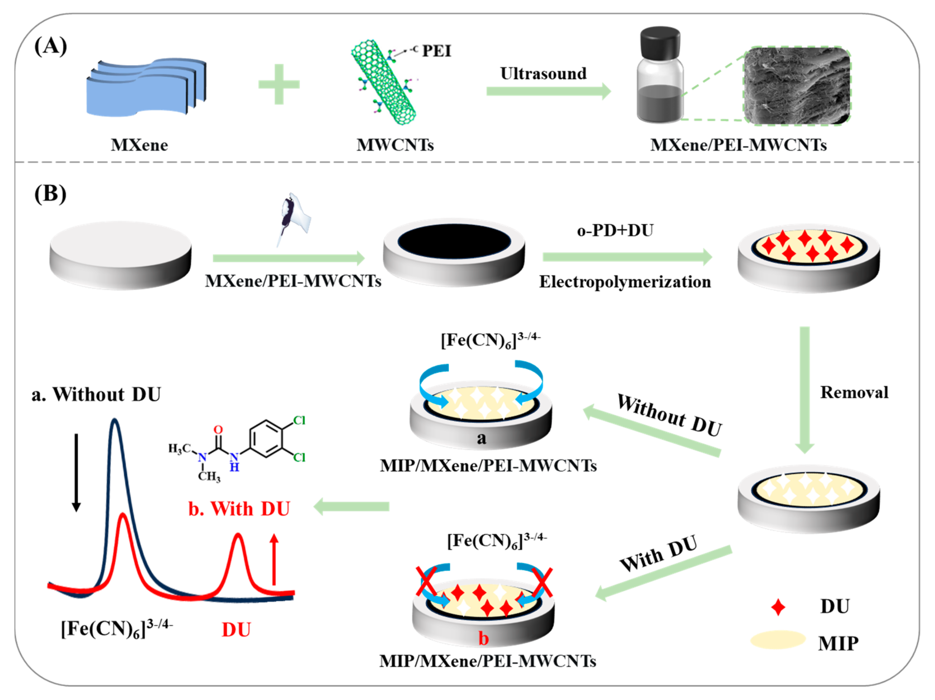 Biosensors 15 00433 sch001