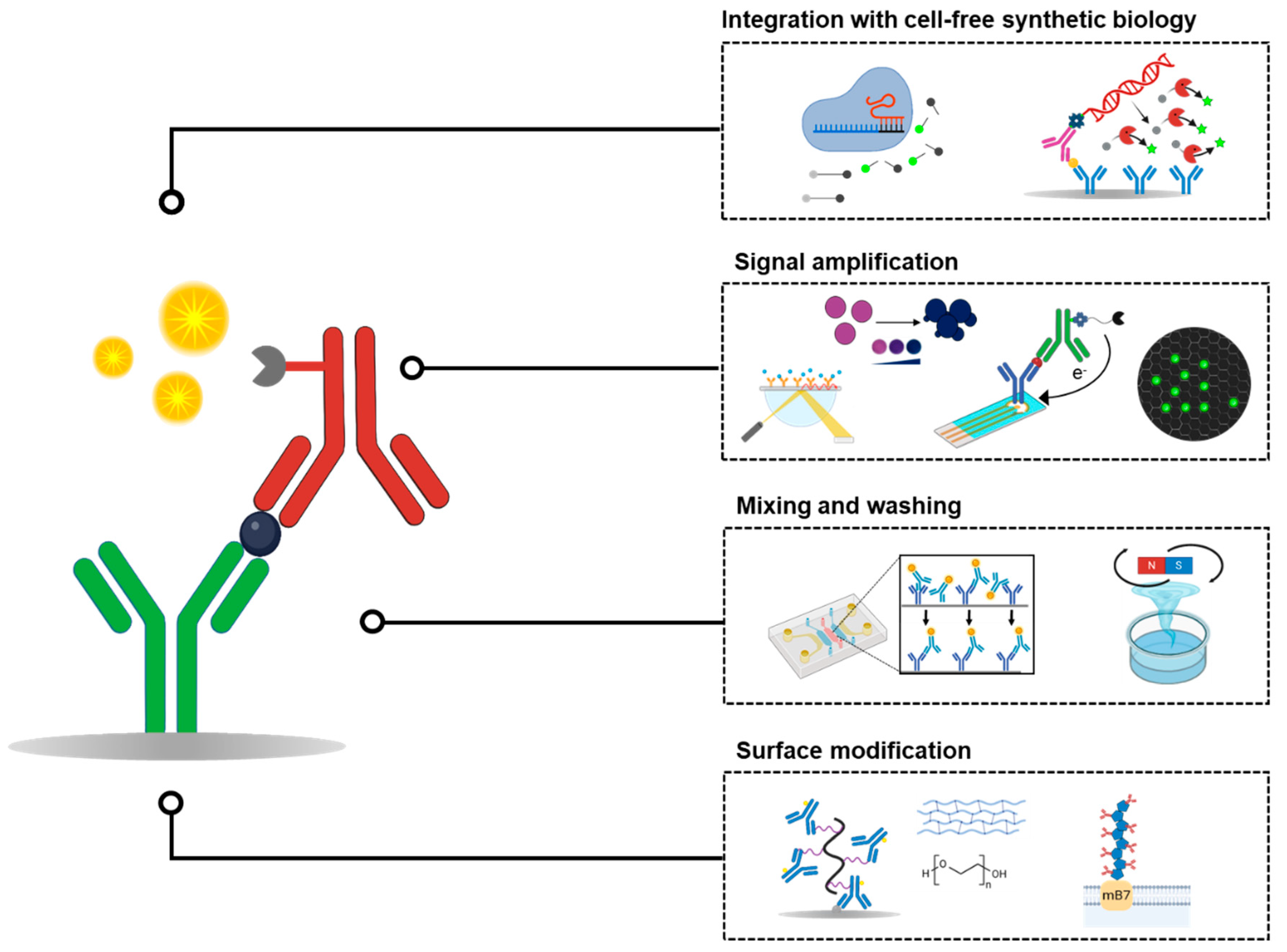 Biosensors 15 00434 g001