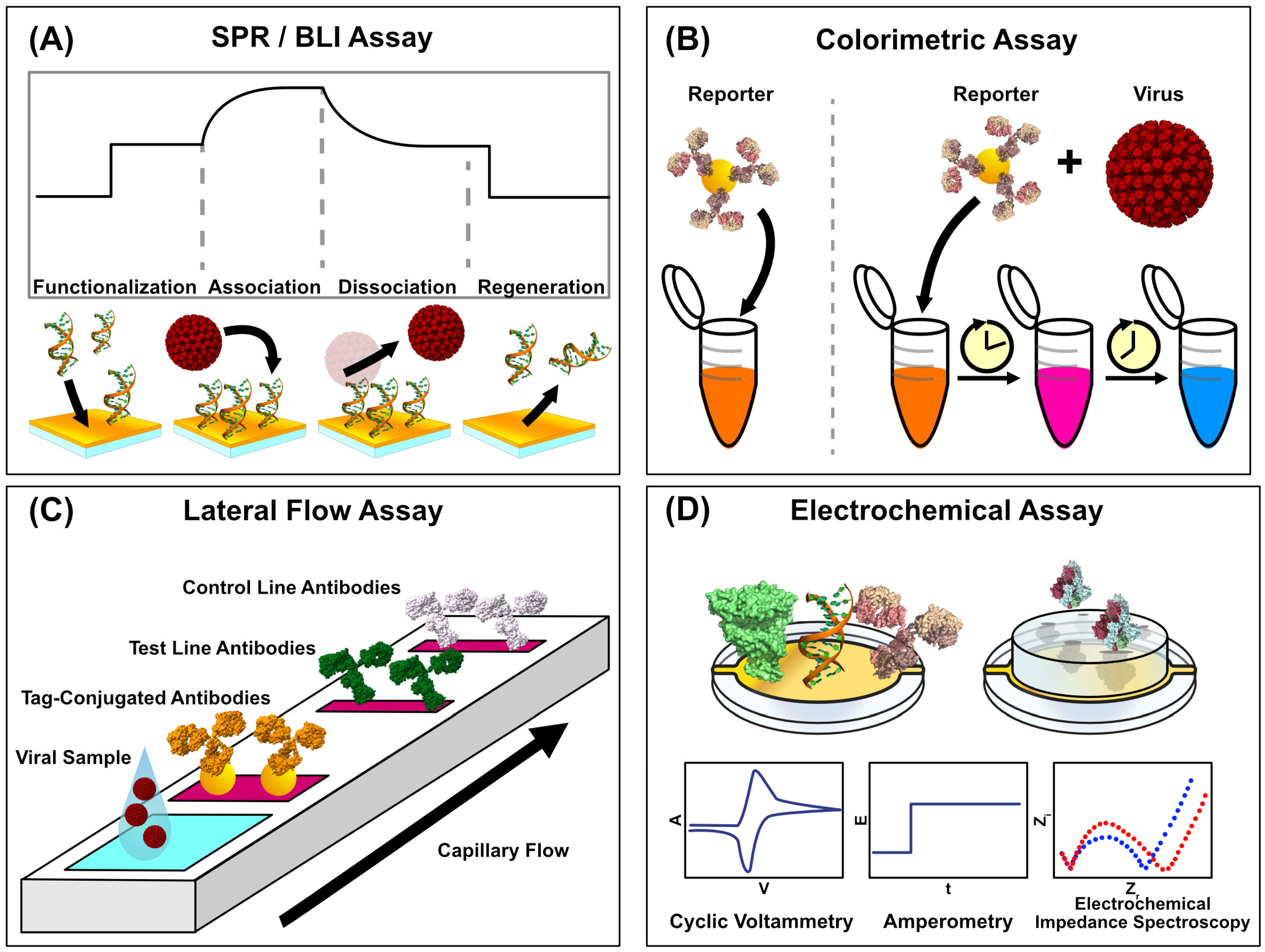 Biosensors 15 00436 g002